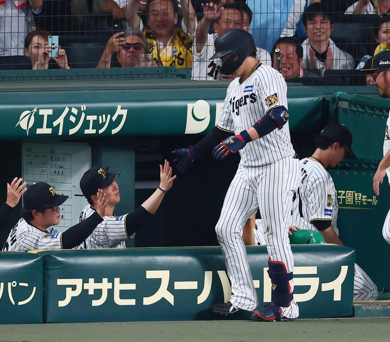 阪神対ヤクルト　7回裏阪神1死、藤川球児監督（左）はソロ本塁打を放った大山悠輔をベンチで出迎える（撮影・加藤哉）