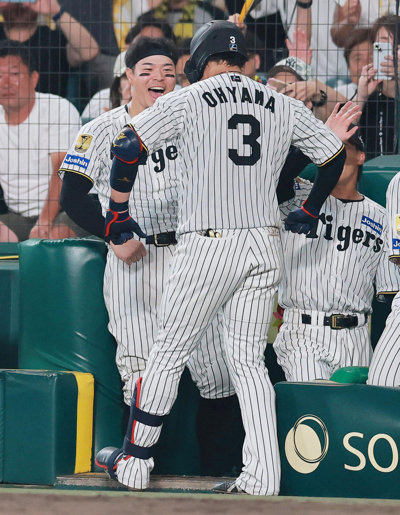 阪神対ヤクルト　7回裏阪神1死、大山悠輔（手前）はソロ本塁打を放ちポーズする（撮影・上山淳一）