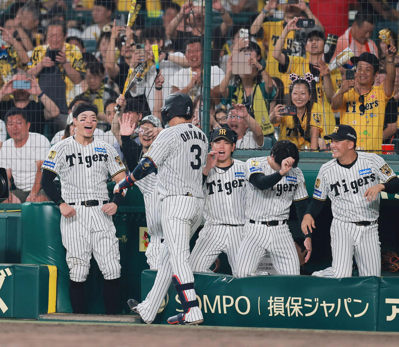 阪神対ヤクルト　7回裏阪神1死、大山悠輔（手前）は本塁打を放ちベンチでナインの祝福を受ける（撮影・上山淳一）