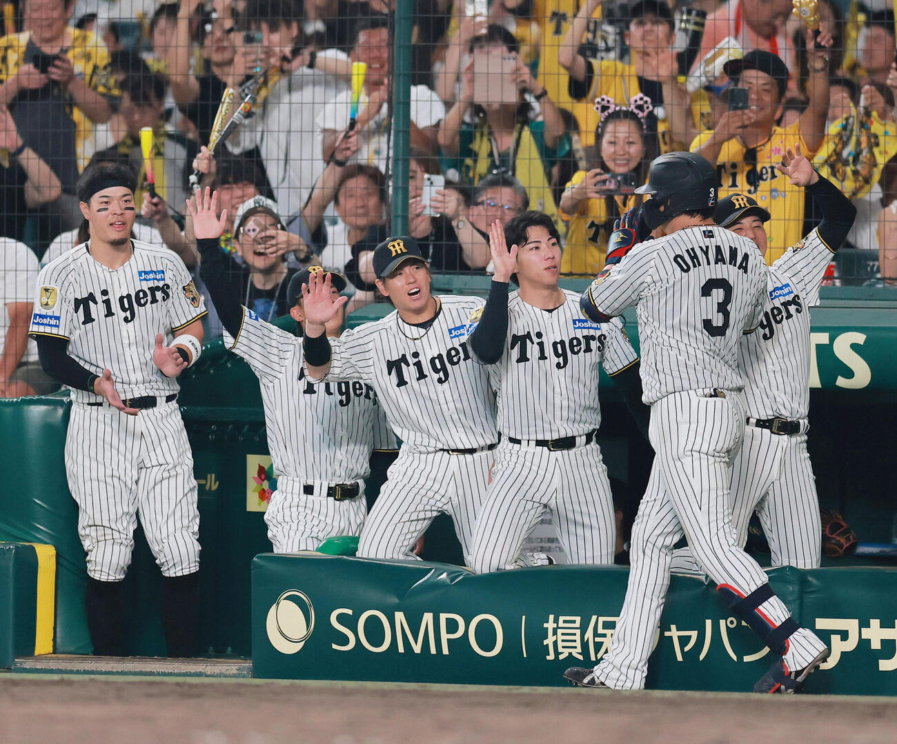 阪神対ヤクルト　7回裏阪神1死、大山悠輔（手前）はソロ本塁打を放ち祝福を受ける（撮影・上山淳一）