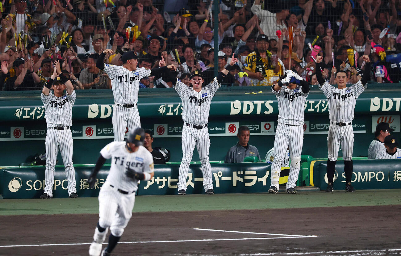 阪神対ヤクルト　7回裏阪神1死一塁、佐藤輝明の中越え2点本塁打にベンチから飛び出し喜ぶナイン（撮影・加藤哉）