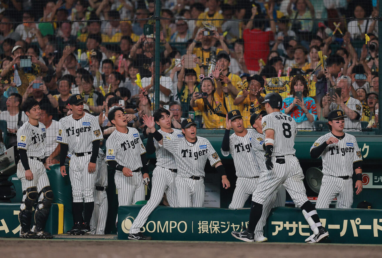 阪神対ヤクルト　7回裏阪神1死一塁、佐藤輝明（手前）は2点本塁打を放ち祝福を受ける（撮影・上山淳一）