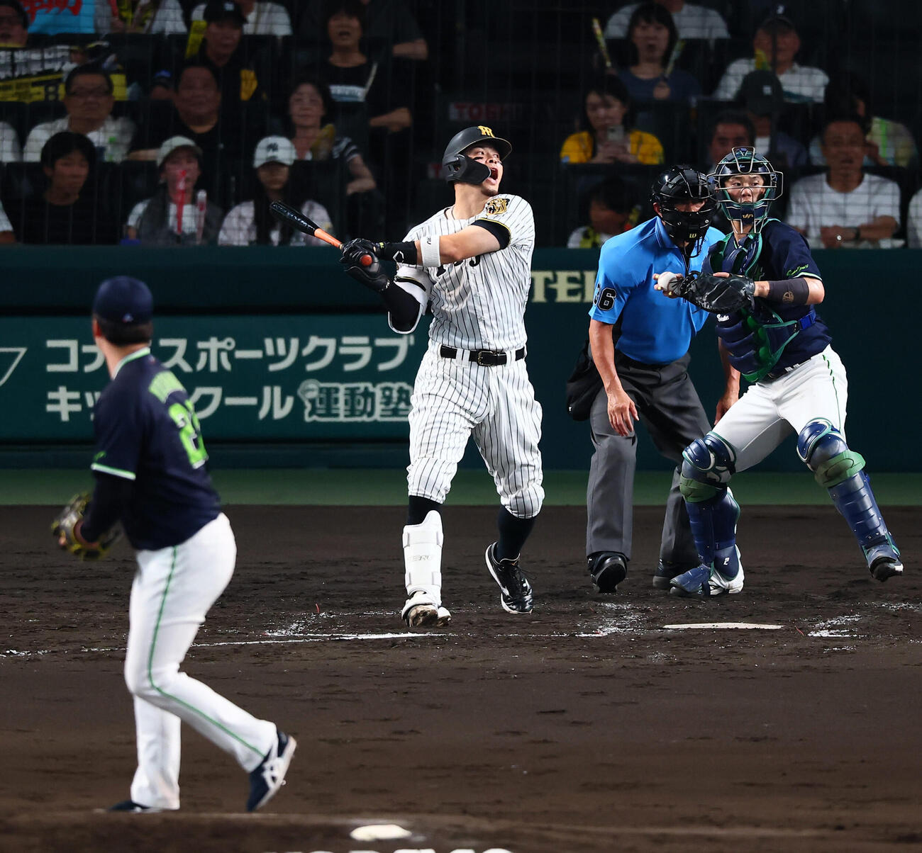 阪神対ヤクルト　5回裏阪神無死、佐藤輝明は三振に倒れる。投手吉村貢司郎（撮影・加藤哉）