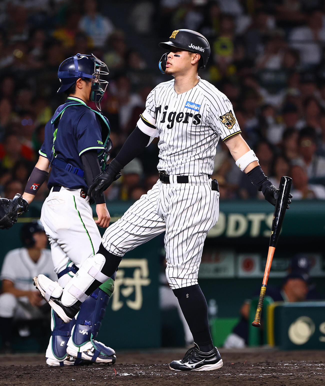 阪神対ヤクルト　5回裏阪神無死、佐藤輝明は三振に倒れる（撮影・上田博志）