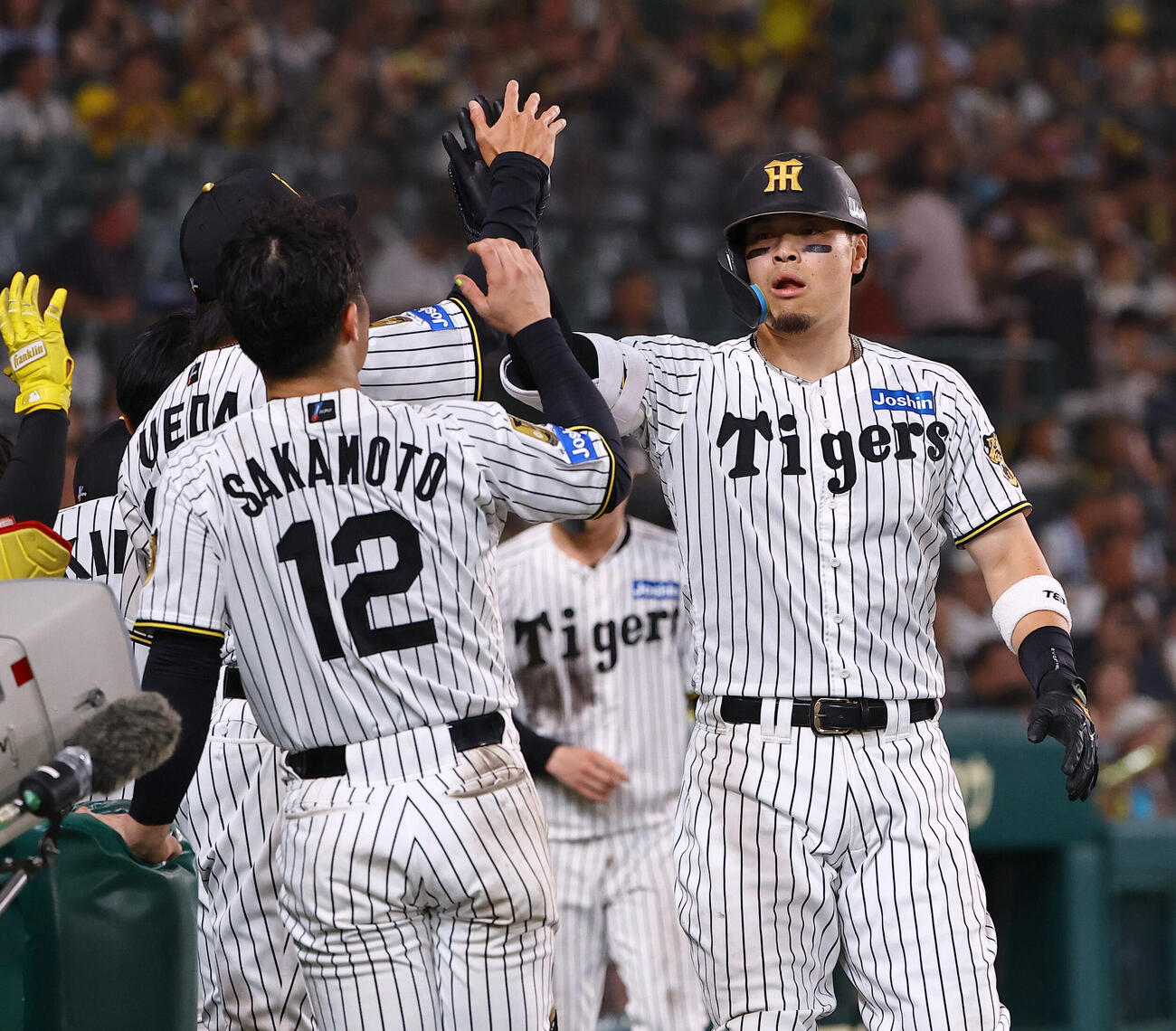 阪神対ヤクルト　7回裏阪神1死一塁、2点本塁打を放った佐藤輝明はナインとハイタッチをする（撮影・上田博志）