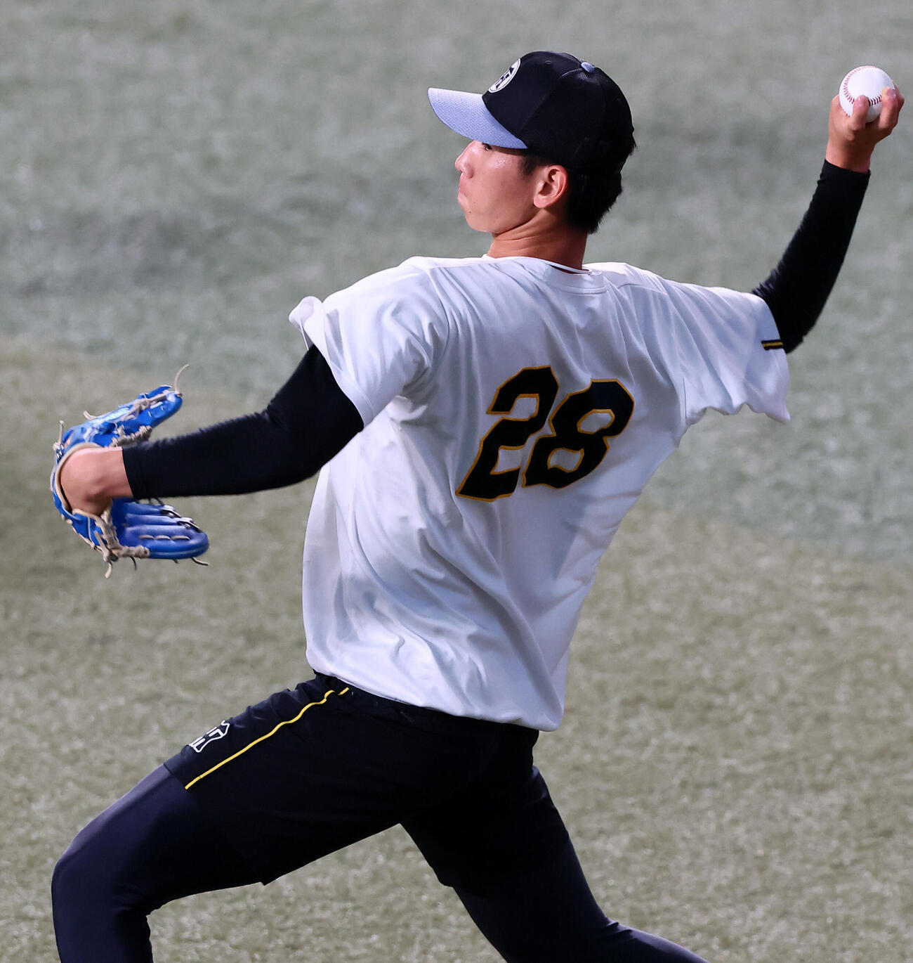 中日対阪神　　練習でキャッチボールする阪神今朝丸裕喜（撮影・加藤哉）