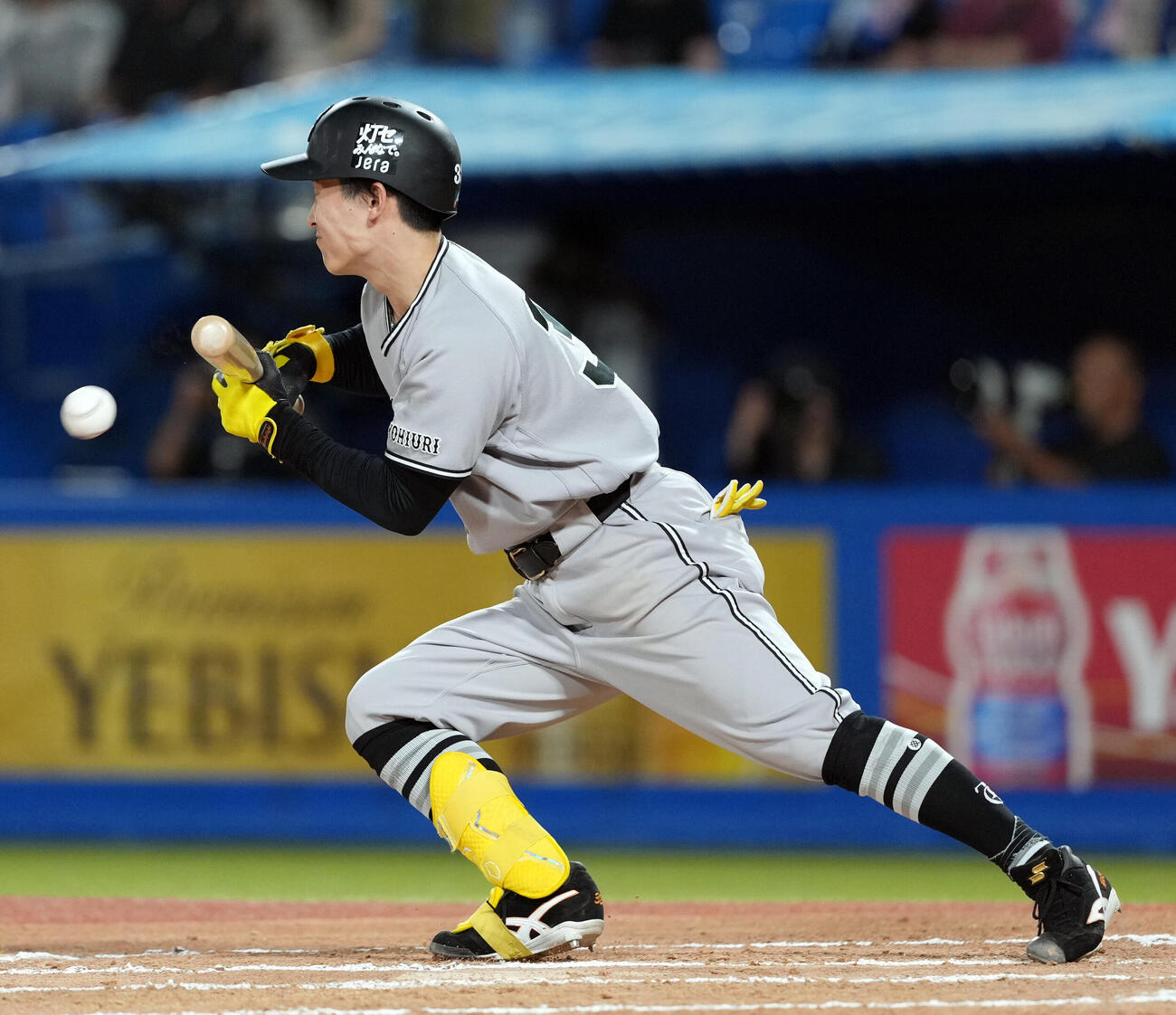 ヤクルト対巨人　6回表巨人1死一塁、セーフティーを決める浦田俊輔（撮影・たえ見朱実）