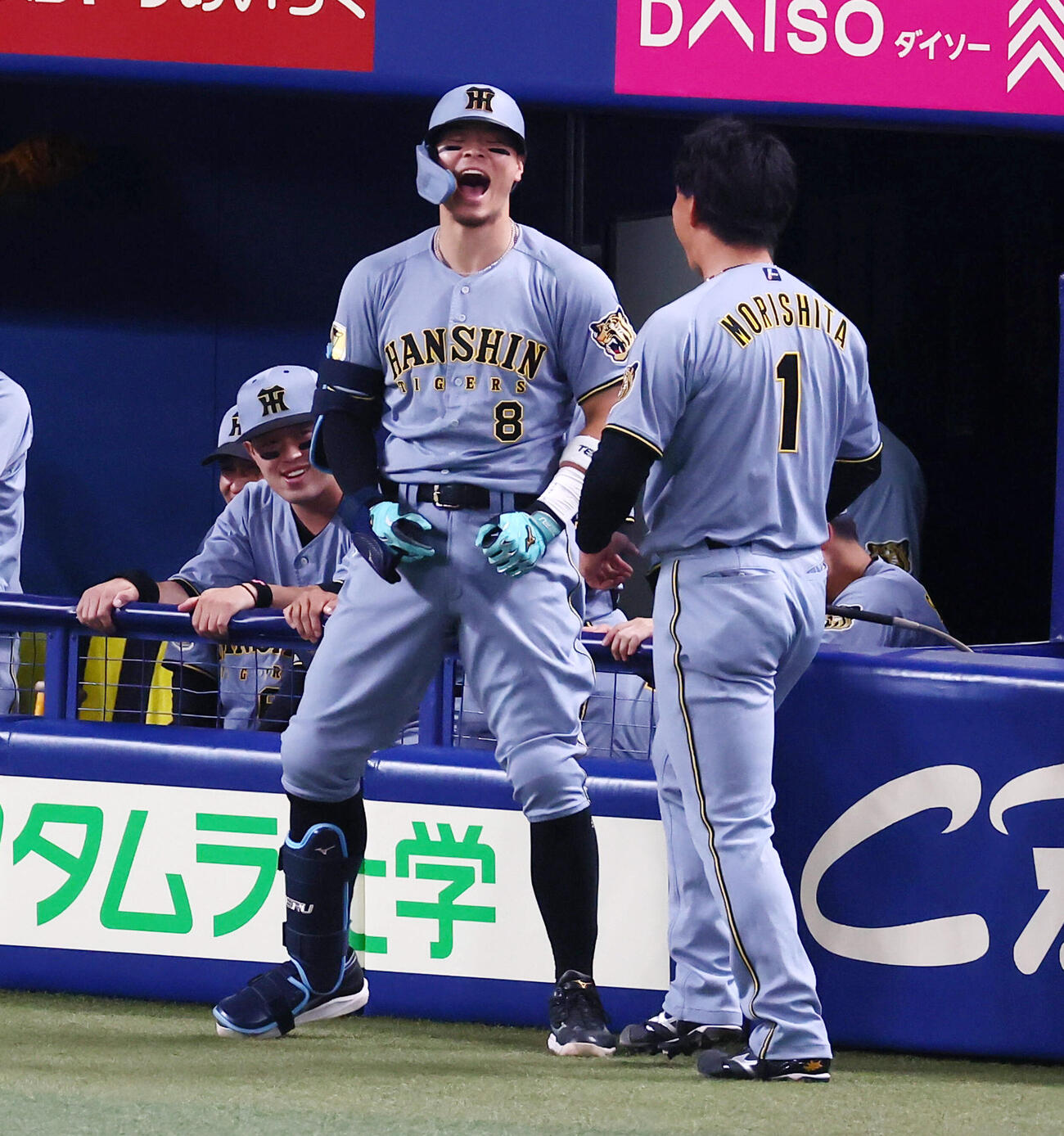 中日対阪神　1回表阪神2死、佐藤輝明は森下翔太（右）とアベック本塁打を放ちベンチ前で雄たけびを上げる（撮影・加藤哉）