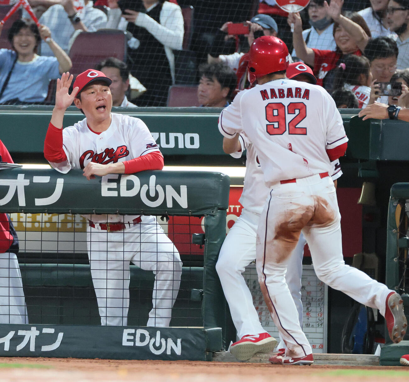 広島対DeNA 4裏広島1死一、三塁、サンドロ・ファビアンの右犠飛で生還した名原典彦を迎える新井貴浩監督（撮影・加藤孝規）