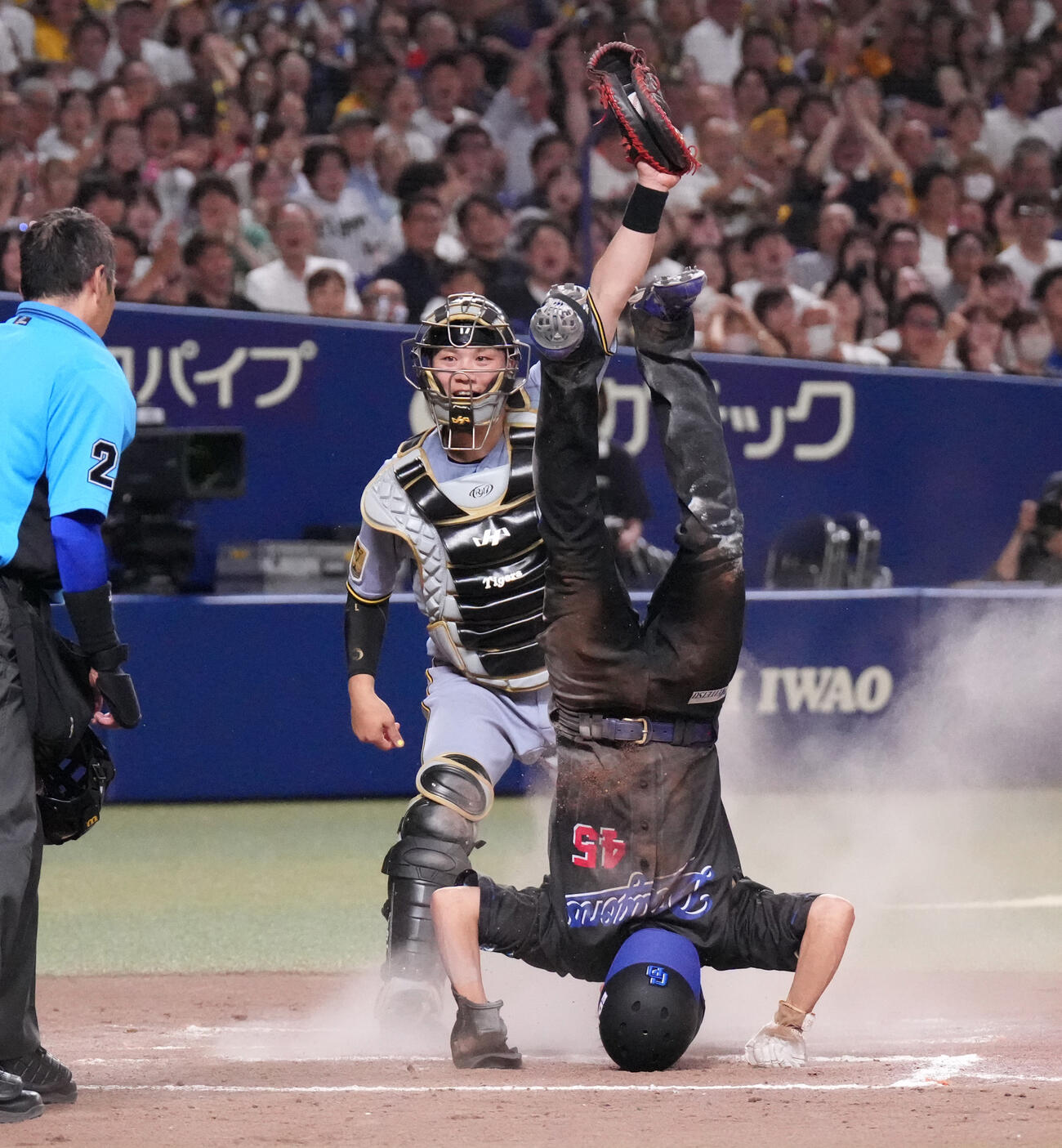 中日対阪神　7回裏中日2死一、二塁、細川成也の内野安打の間に本塁突入するもタッチアウトの土田龍空（右）捕手は伏見寅威（撮影・森本幸一）