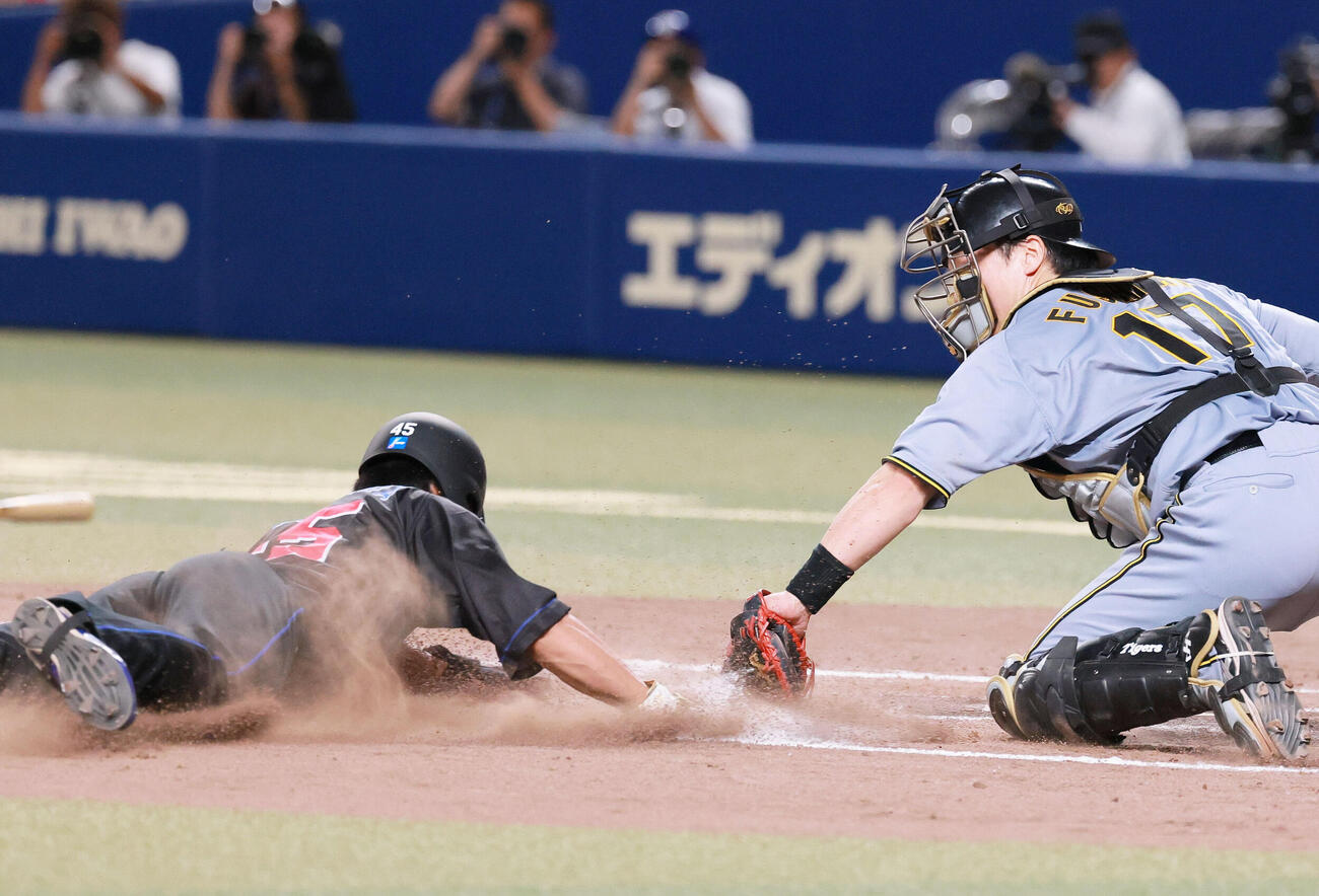 中日対阪神　7回裏中日2死一、二塁、細川成也の遊内野安打で二走土田龍空（左）は本塁を狙うがタッチアウト。捕手伏見寅威（撮影・上山淳一）
