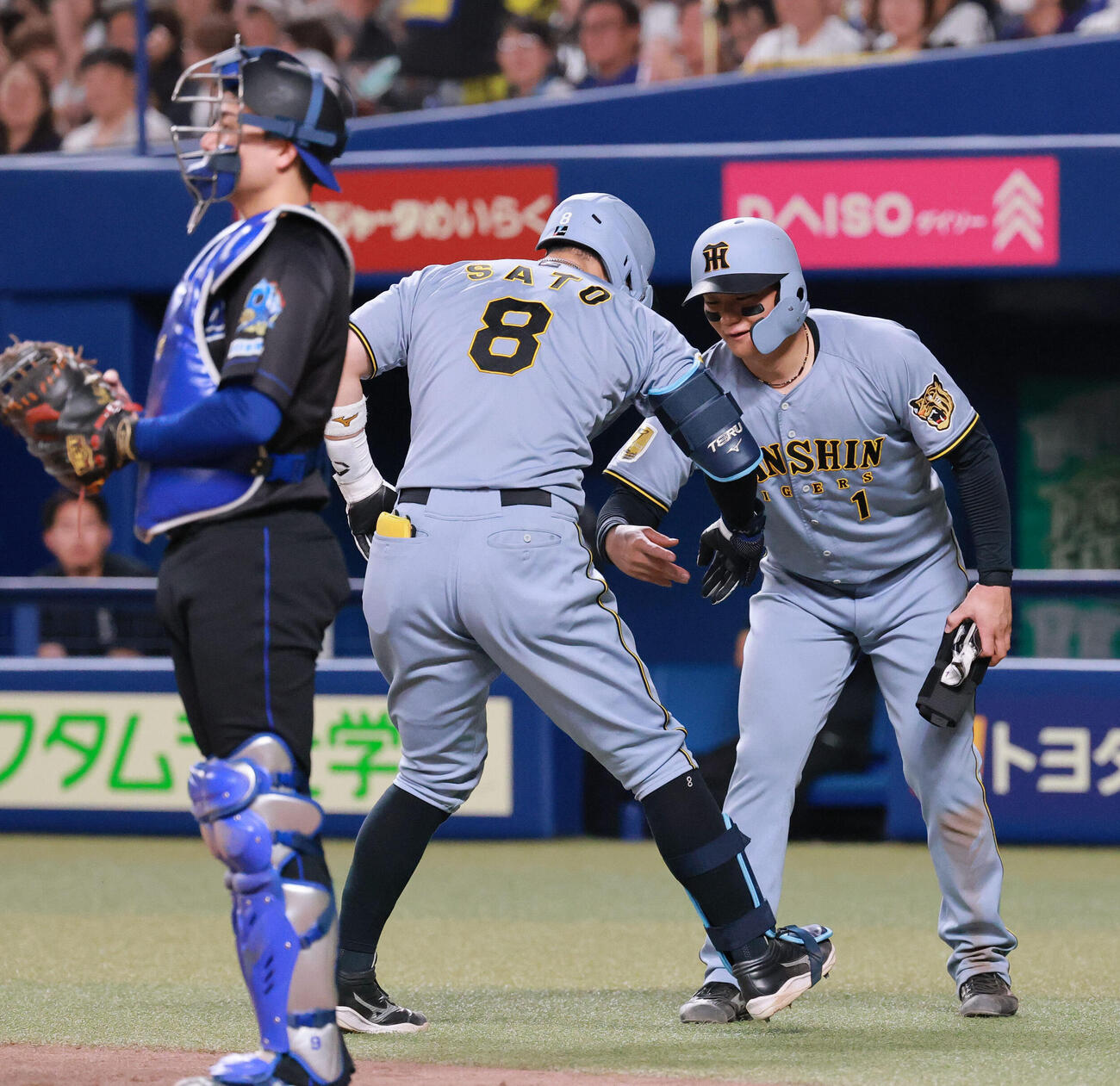 中日対阪神　7回表阪神無死一塁、佐藤輝明（左）は2点本塁打を放ち一走森下翔太とタッチをかわす（撮影・上山淳一）