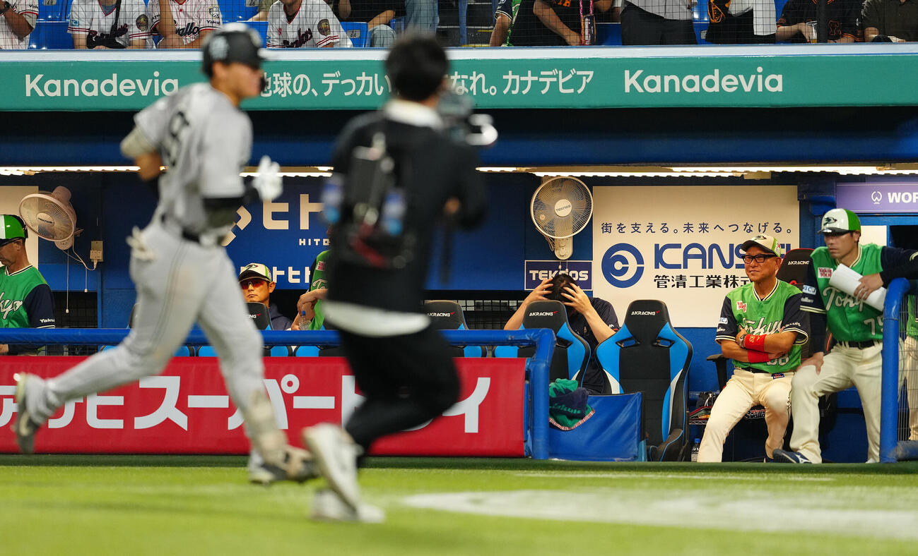 ヤクルト対巨人　7回表巨人2死一塁、笹原操希に2点本塁打を浴び、ベンチで苦笑いの池山隆寛監督（右から2人目）（撮影・鈴木みどり）