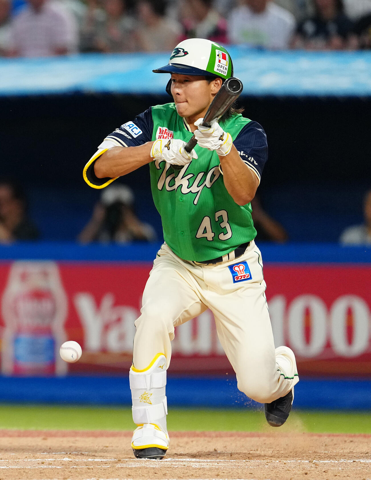 ヤクルト対巨人　3回裏ヤクルト無死一塁、送りバントを決める増居翔太（撮影・鈴木みどり）