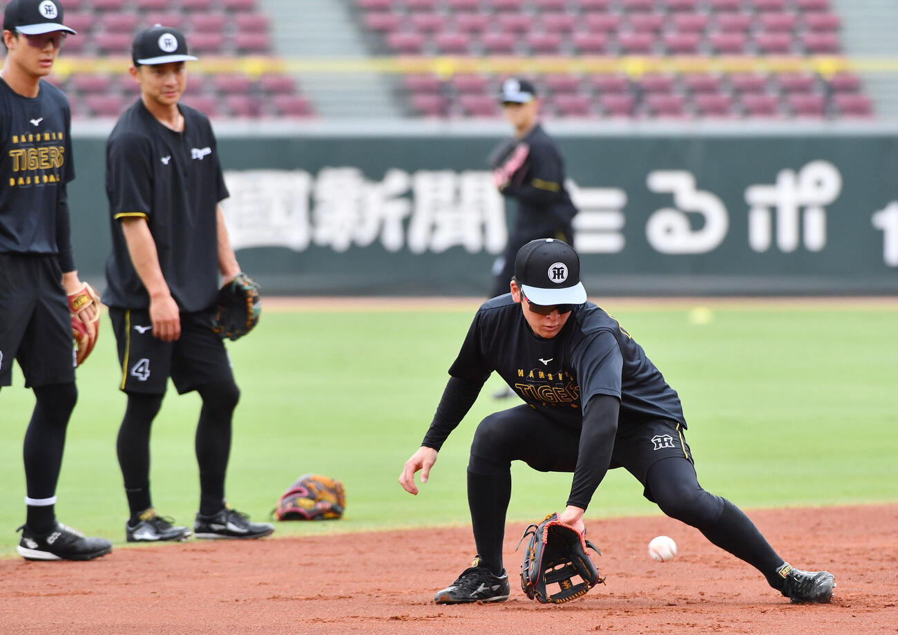 広島対阪神　試合前、遊撃で左から小幡竜平、熊谷敬宥とノックを受ける阪神高寺望夢（撮影・岩下翔太）