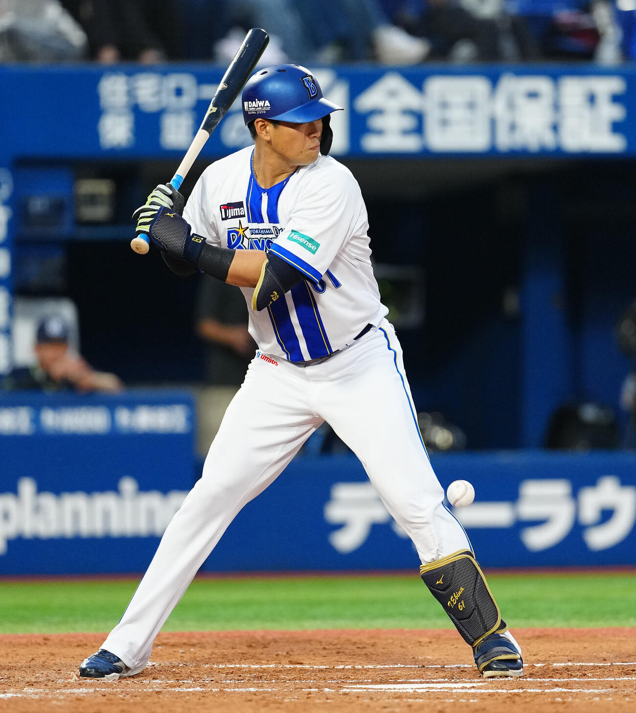 DeNA対ヤクルト　2回裏DeNA1死一塁、死球を受ける蝦名達夫（撮影・鈴木みどり）