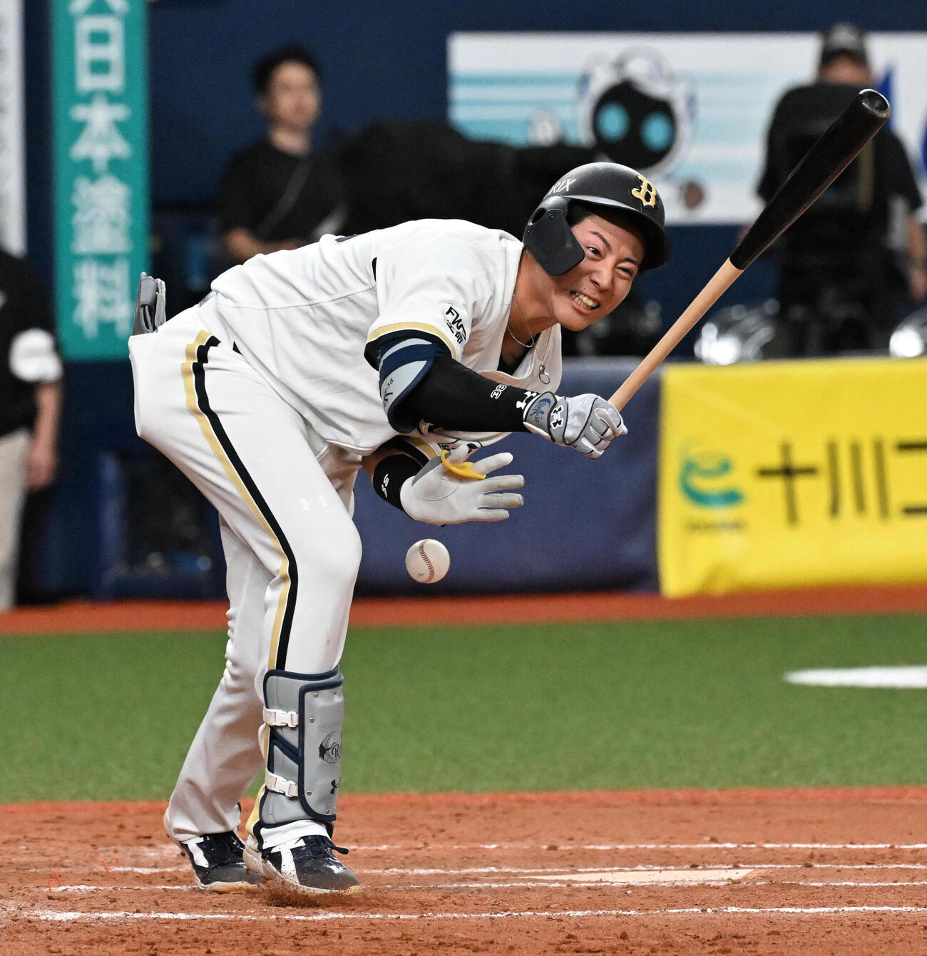 オリックス対日本ハム　7回裏オリックス1死一塁、ボールが当たり痛がるオリックス来田涼斗（撮影・石井愛子）
