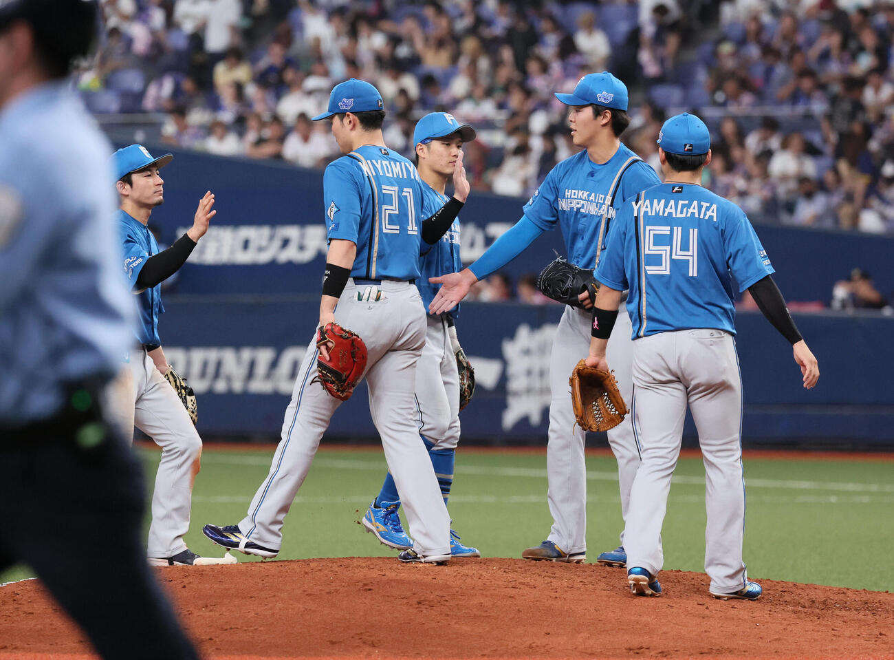 オリックス対日本ハム　勝利を祝う日本ハムナイン（撮影・宮崎幸一）