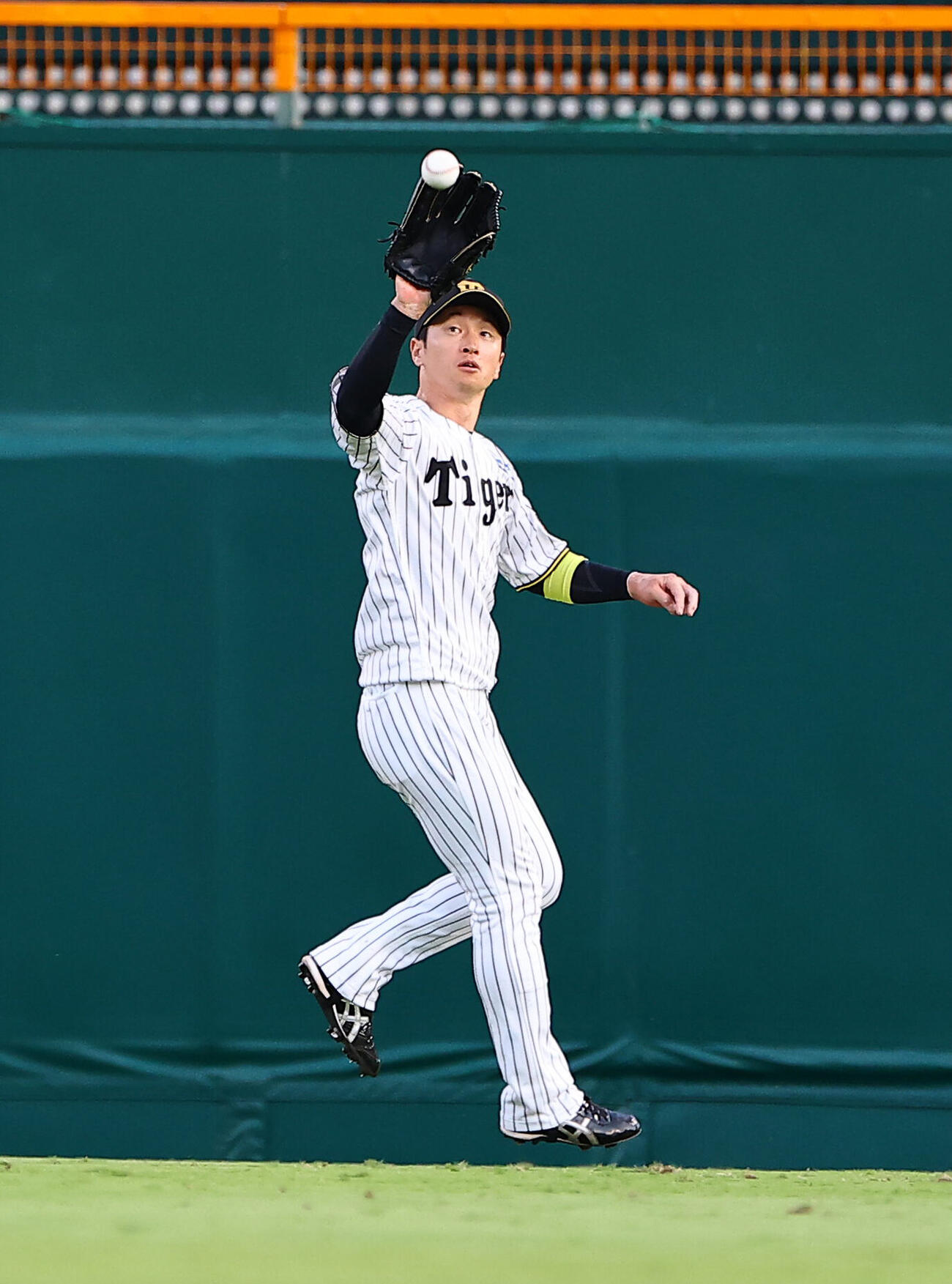阪神近本光司（26年7月撮影）