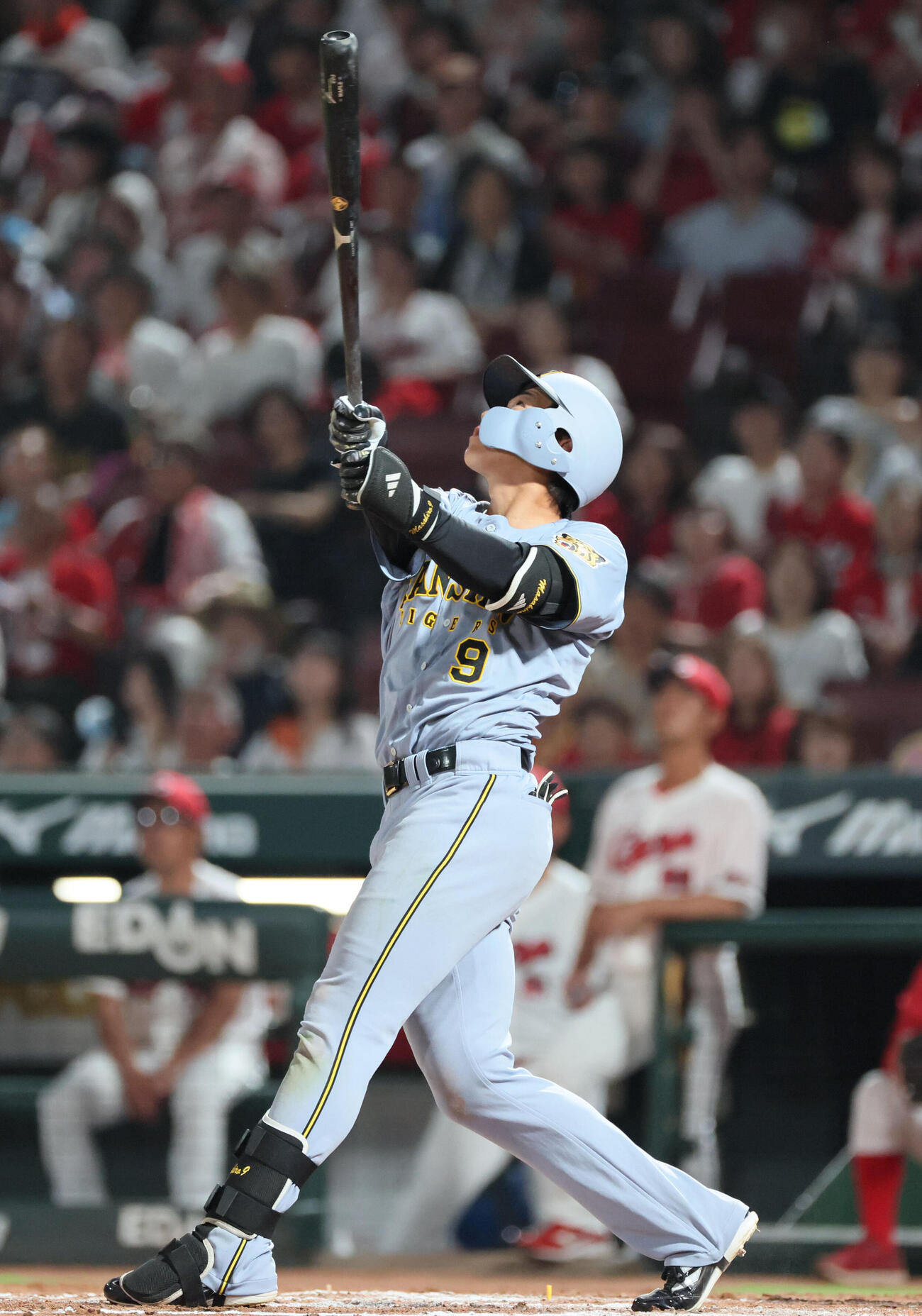 広島対阪神　8回表阪神2死一塁、立石正広は一塁内野フライ（撮影・加藤孝規）