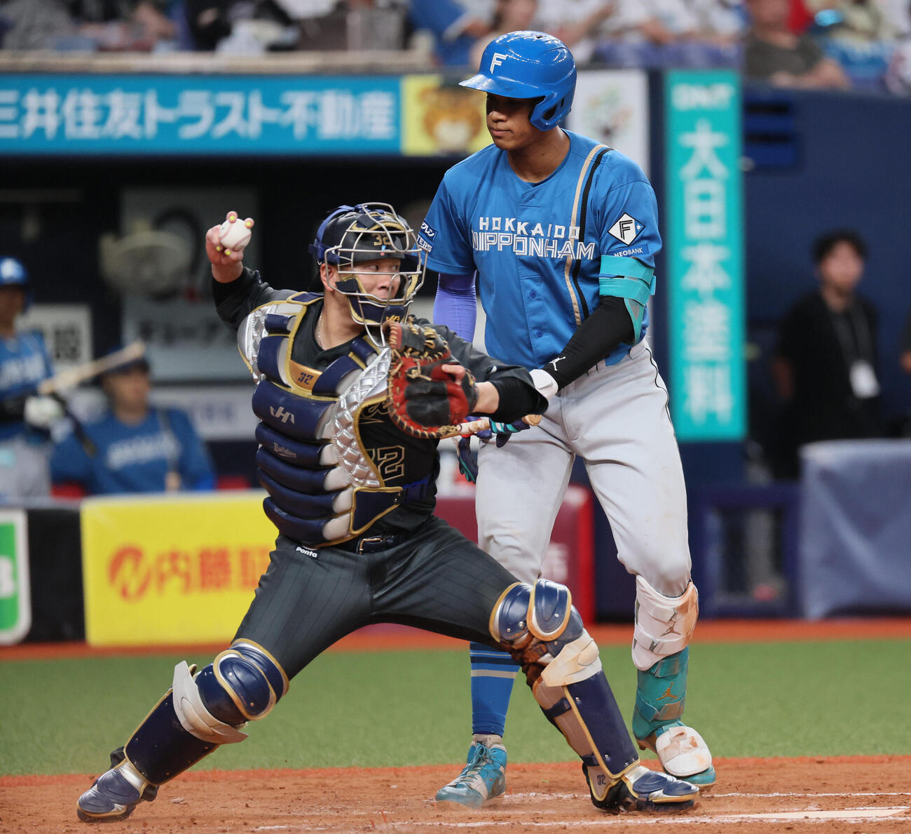 オリックス対日本ハム　9回表日本ハム1死一塁、オリックス福永奨は二盗を試みた日本ハム矢沢宏太を刺す（撮影・宮崎幸一）