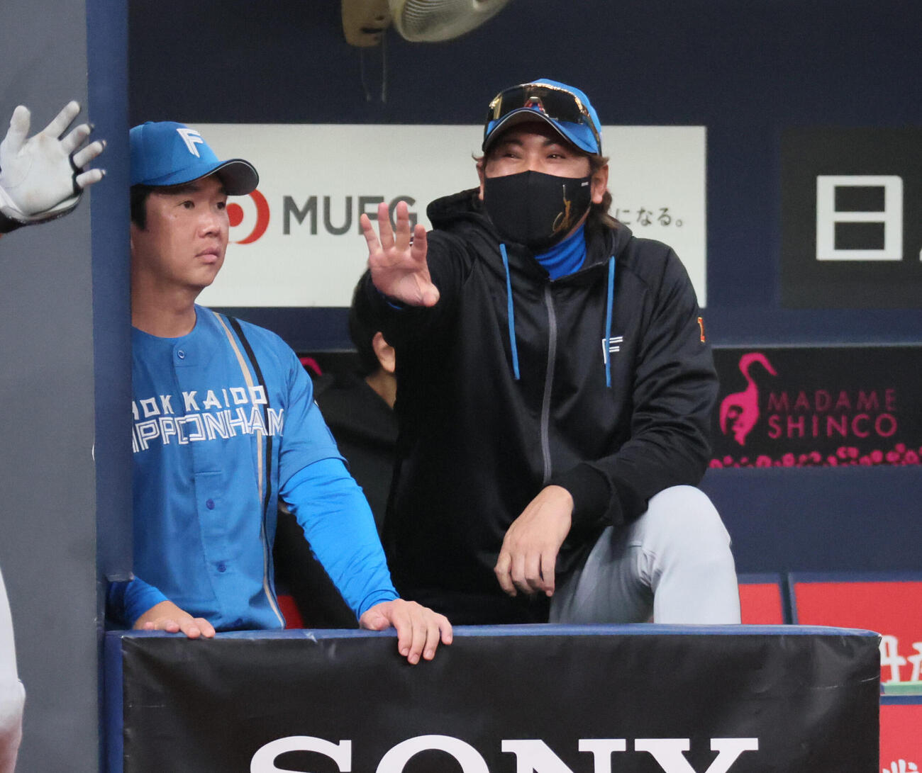 オリックス対日本ハム　3回表日本ハム、ベンチから身を乗り出す新庄剛志監督（撮影・宮崎幸一）