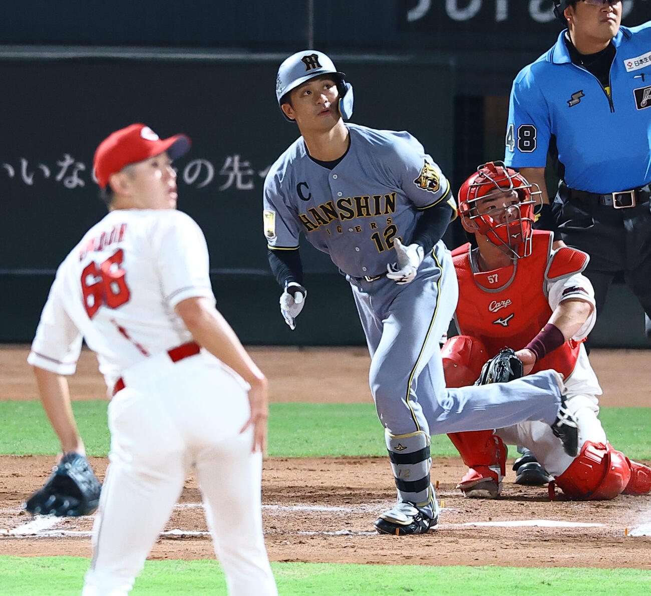 広島対阪神　7回表阪神2死、坂本誠志郎は同点ソロ本塁打を放つ（撮影・上田博志）