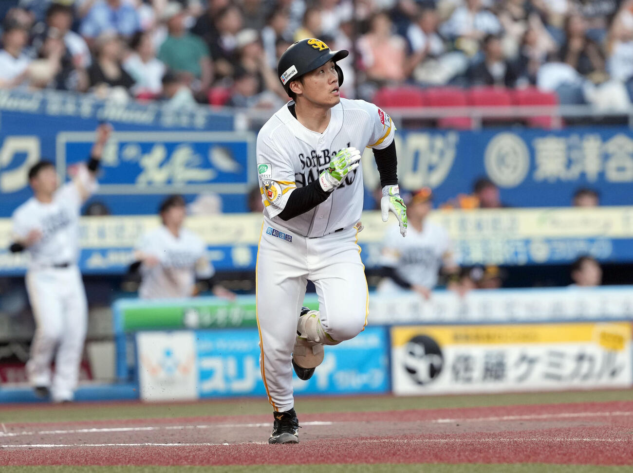ロッテ対ソフトバンク　4回表ソフトバンク2死二、三塁、2点適時二塁打を放った海野隆司（撮影・たえ見朱実）