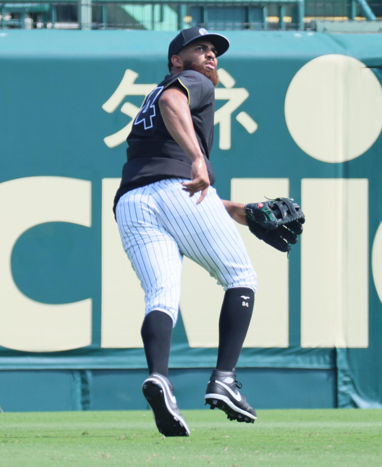 甲子園球場で外野守備練習する阪神デルミス・ガルシア（撮影・宮崎幸一）