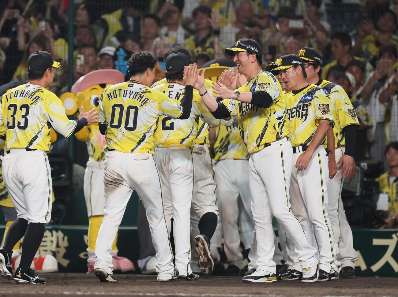 阪神対DeNA 11回裏阪神2死二塁、藤川球児監督（右）は元山飛優とハイタッチ（撮影・宮崎幸一）