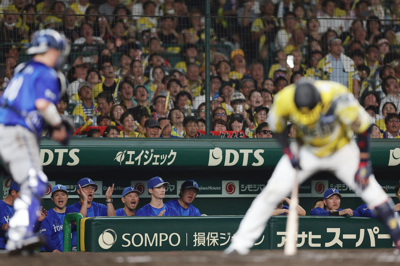 阪神対DeNA 8回裏阪神2死一、二塁、大山悠輔を見逃し三振に仕留め、ベンチで手をたたいて喜ぶ相川亮二監督（後方左から2人目）ら（撮影・前田充）