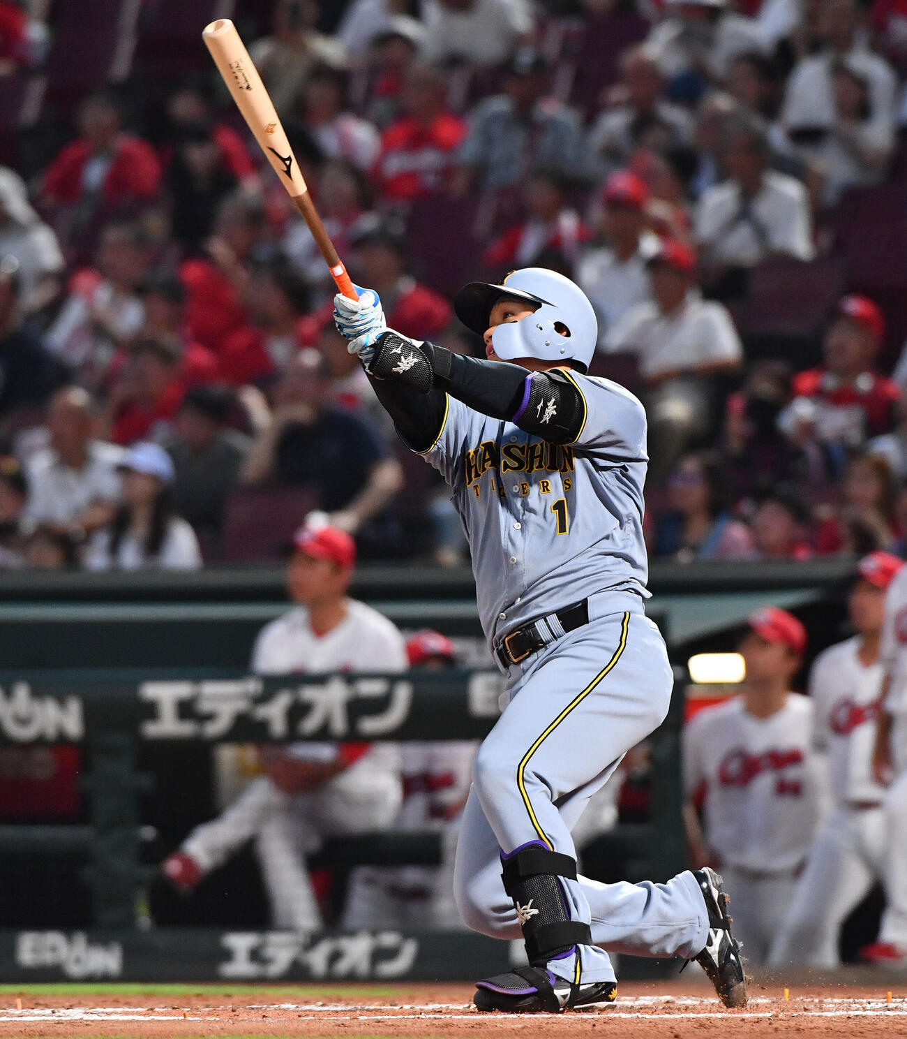 阪神森下翔太（2026年7月撮影）