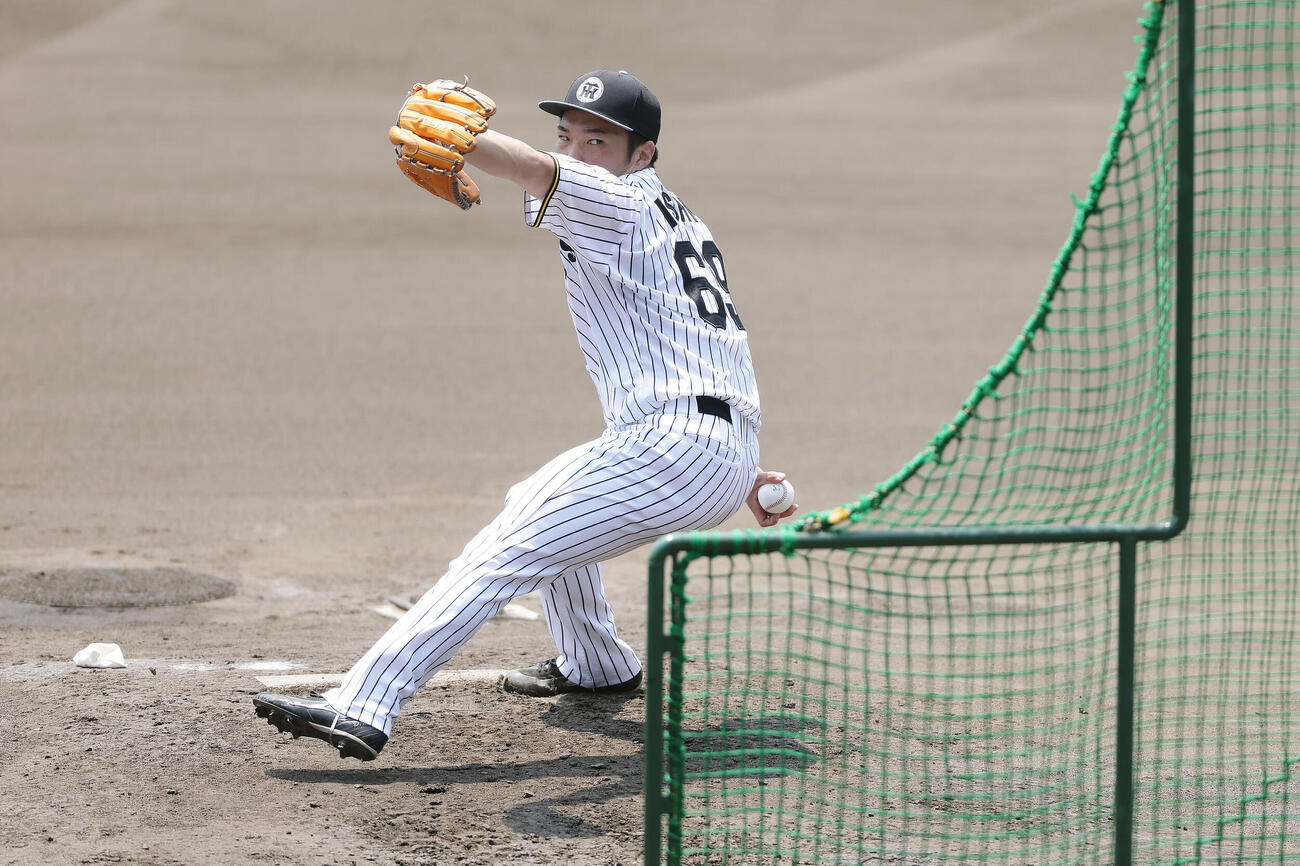 ライブBPで力投する阪神石井大智（撮影・前田充）