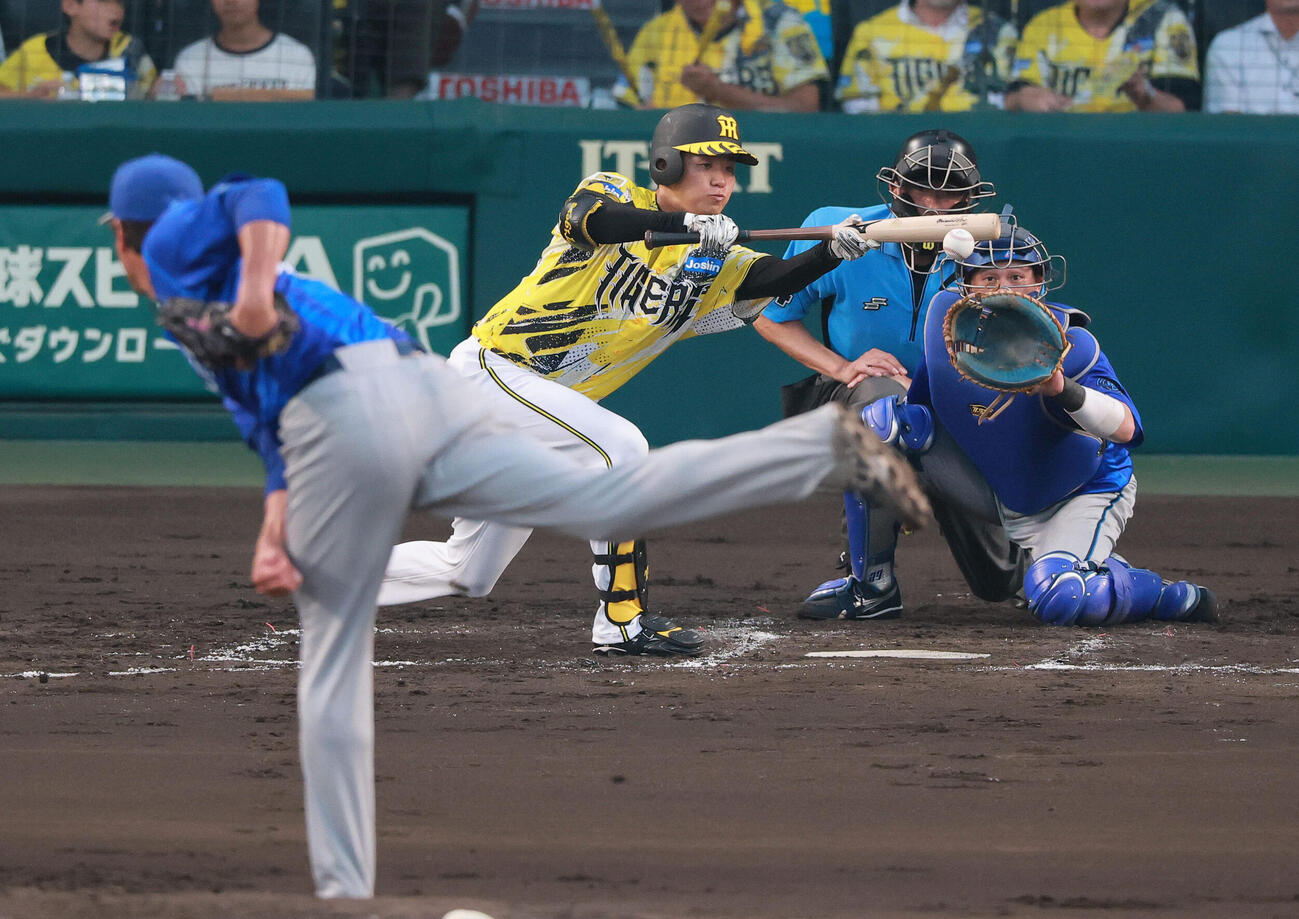阪神対DeNA 2回裏阪神1死一、二塁、高橋遥人は送りバントする。投手藤浪晋太郎（撮影・上山淳一）