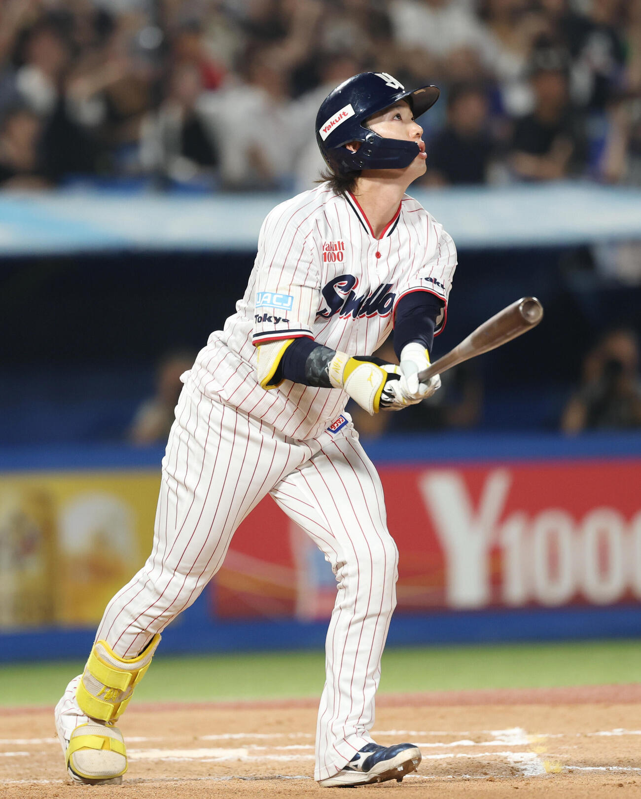 ヤクルト対中日　6回裏ヤクルト2死一、二塁、3点本塁打を放つ長岡秀樹（撮影・増田悦実）