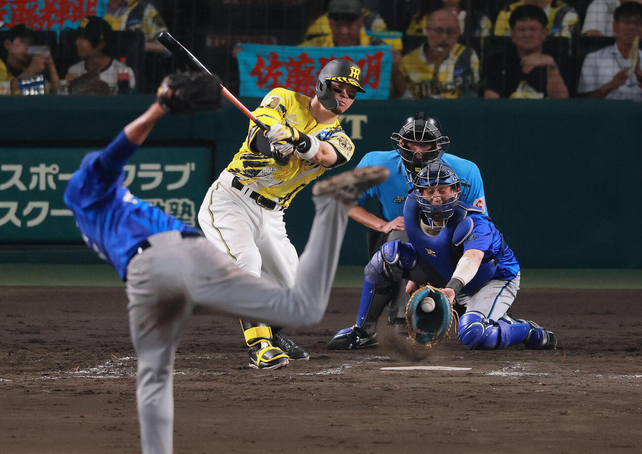 阪神対DeNA 5回裏阪神無死、佐藤輝明は空振り三振に倒れる。投手藤浪晋太郎（撮影・上山淳一）