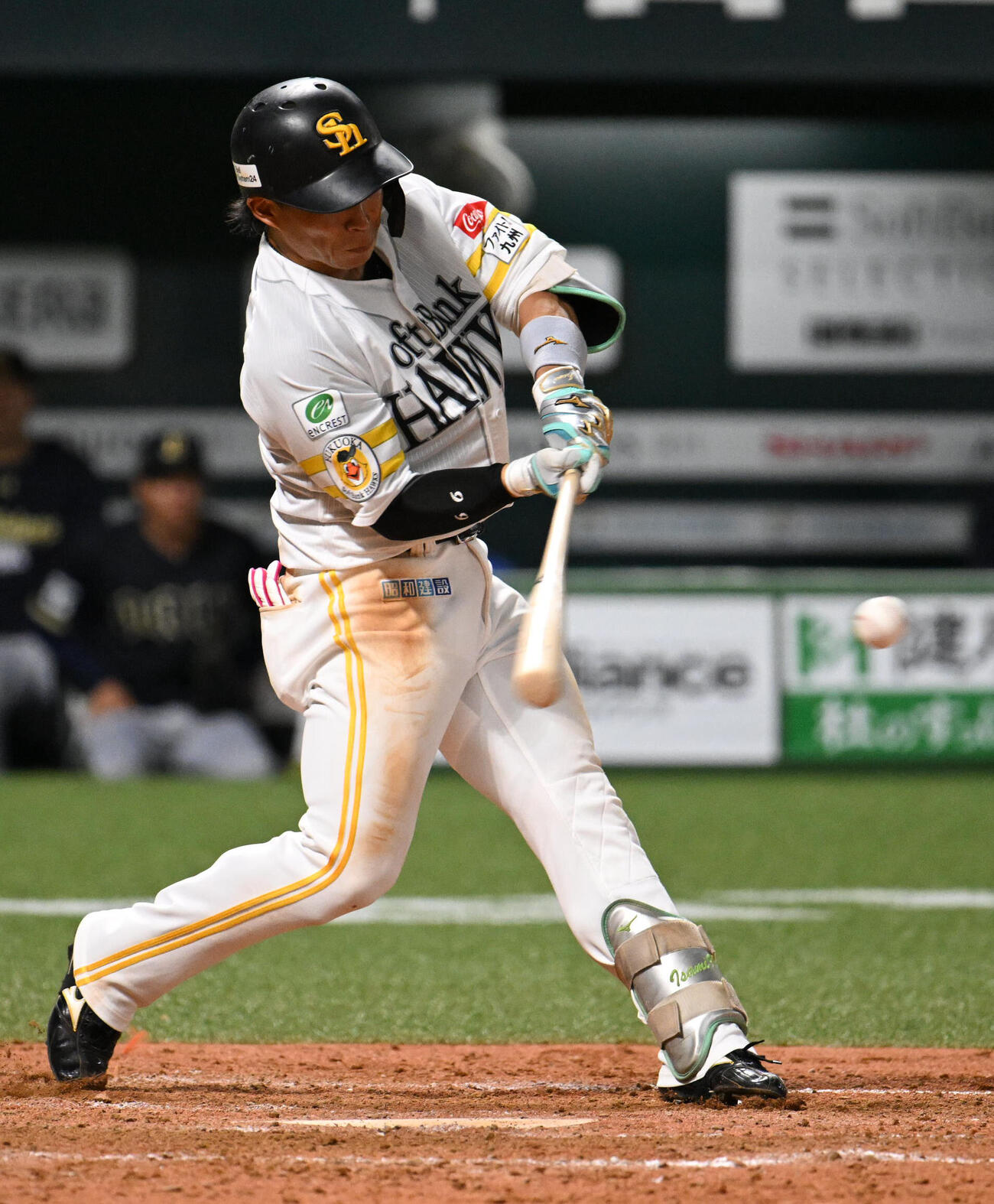 ソフトバンク対オリックス　5回裏ソフトバンク無死、野村勇は安打を放ち出塁する（撮影・林敢治）