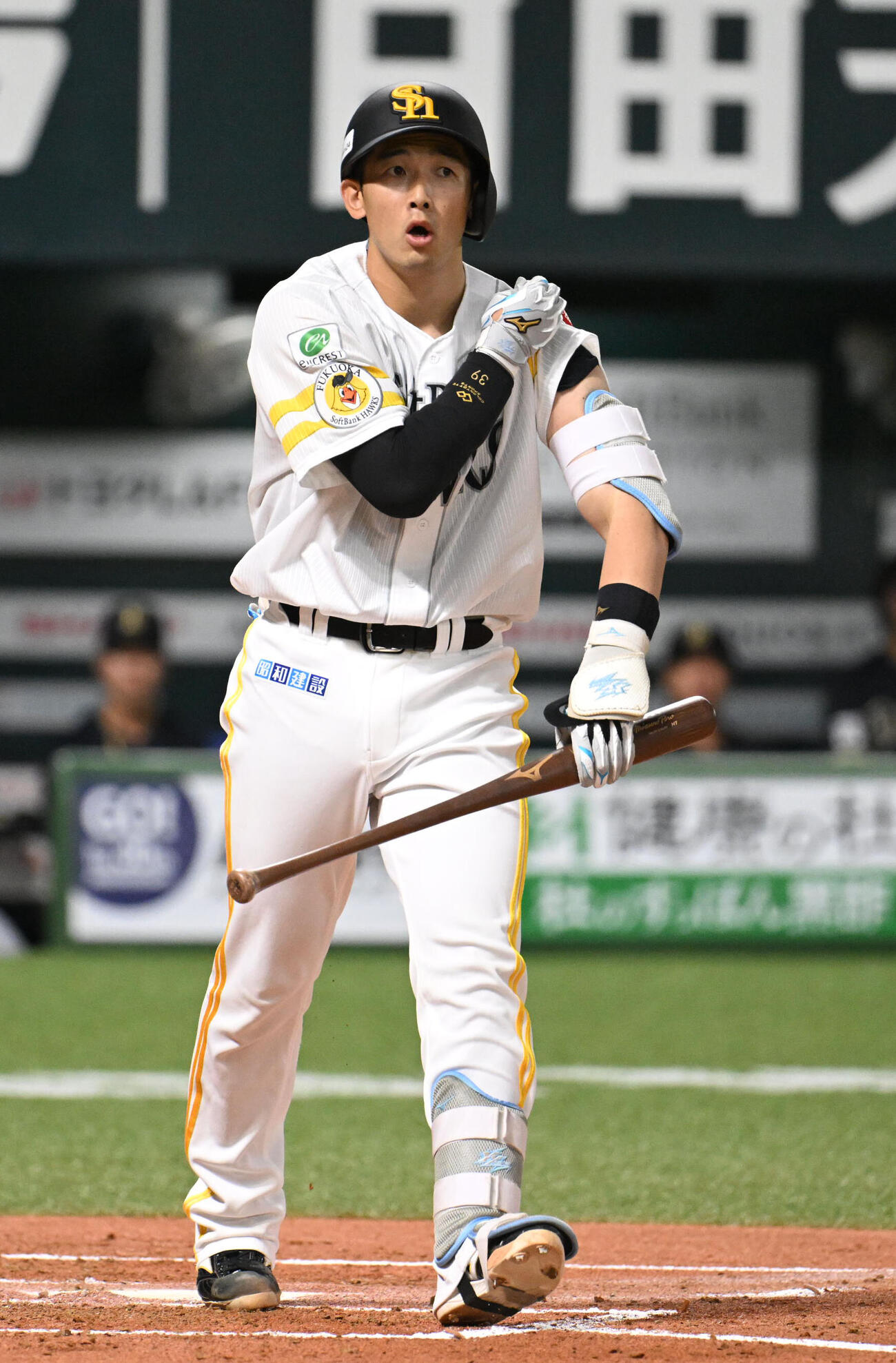 ソフトバンク対オリックス　1回裏ソフトバンク無死一塁、山本祐大は死球を受ける（撮影・林敢治）