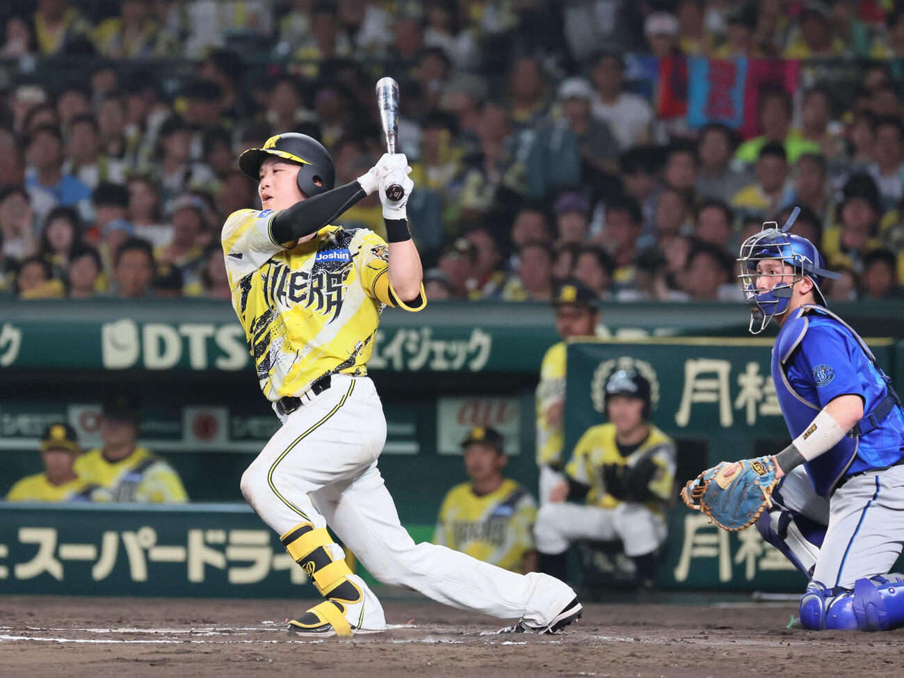 阪神対DeNA 6回裏阪神無死、伏見寅威は遊撃内野安打で出塁する（撮影・宮崎幸一）