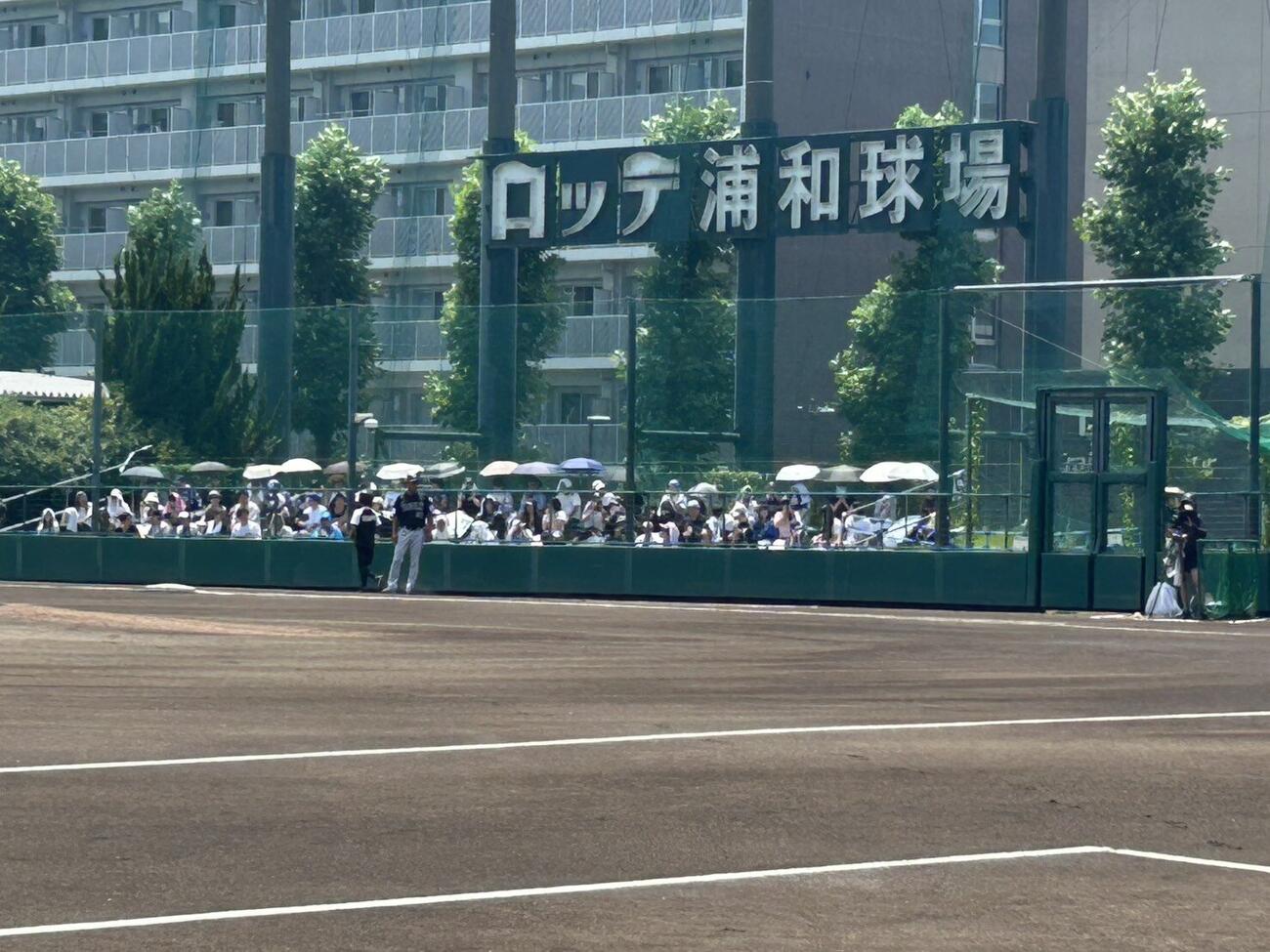 ロッテ浦和球場で日傘をさしながら観戦するファン（撮影・星夏穂）