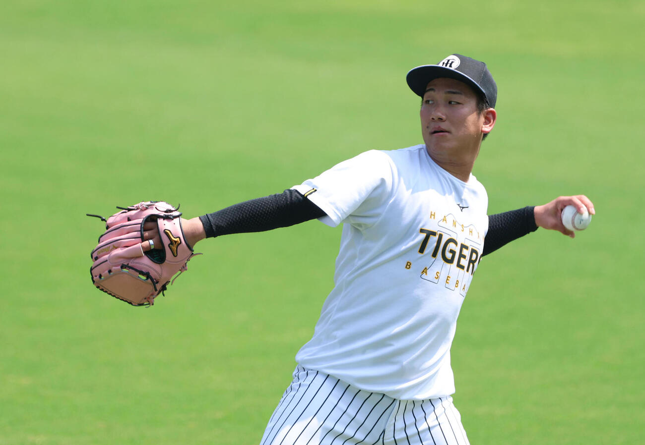 キャッチボールで汗を流す阪神伊原陵人（撮影・白石智彦）