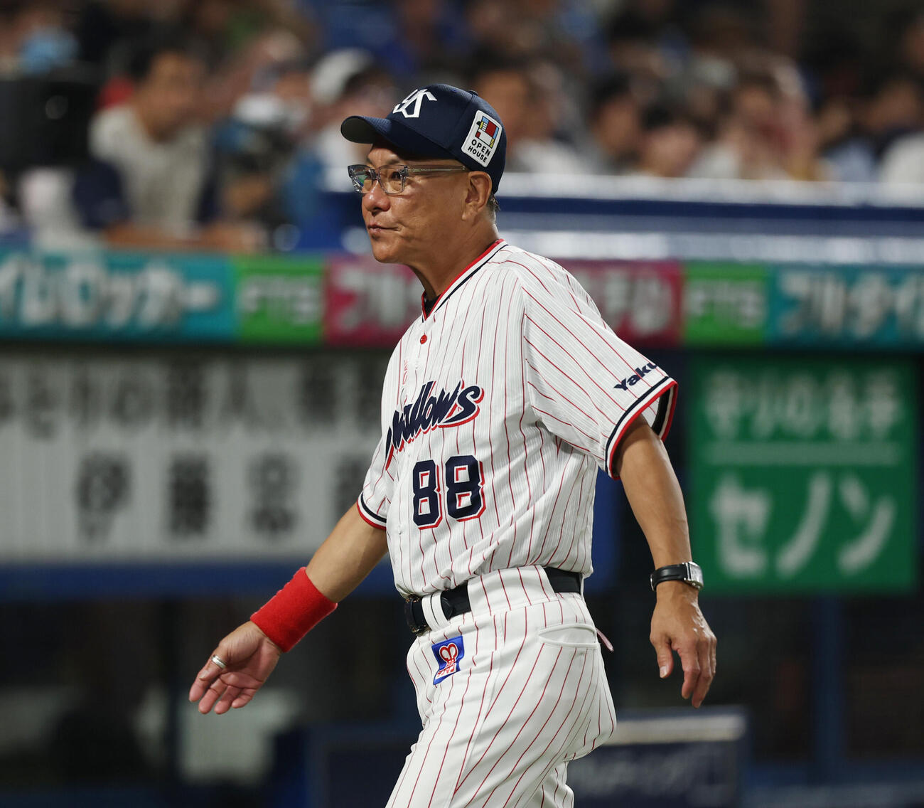 ヤクルト池山隆寛監督（2026年7月撮影）