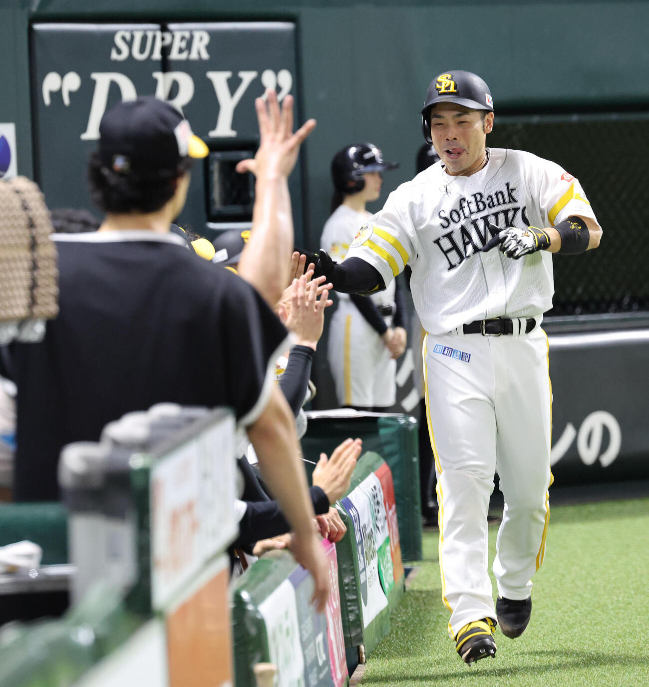 ソフトバンク対オリックス　7回裏ソフトバンク無死、近藤健介は右中間本塁打を放ちベンチのナインとハイタッチ（撮影・梅根麻紀）