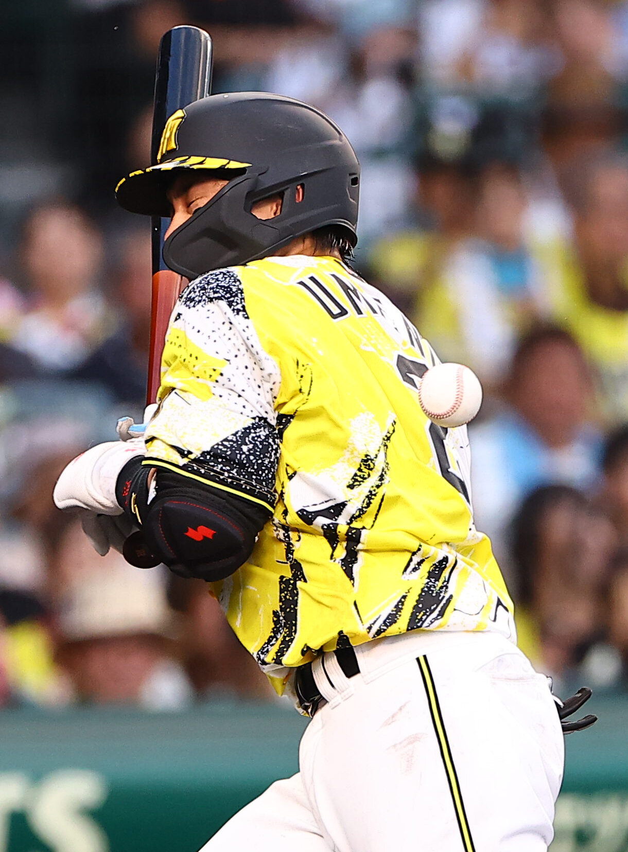 阪神対巨人　1回裏阪神1死一塁、梅野隆太郎は死球を受ける（撮影・上田博志）