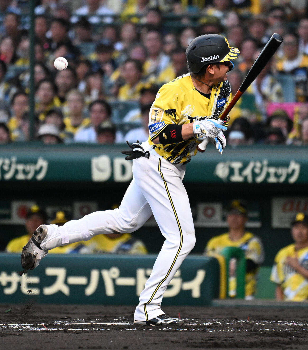 阪神対巨人　2回裏阪神1死一塁　阪神梅野隆太郎は死球を受ける（撮影・石井愛子）