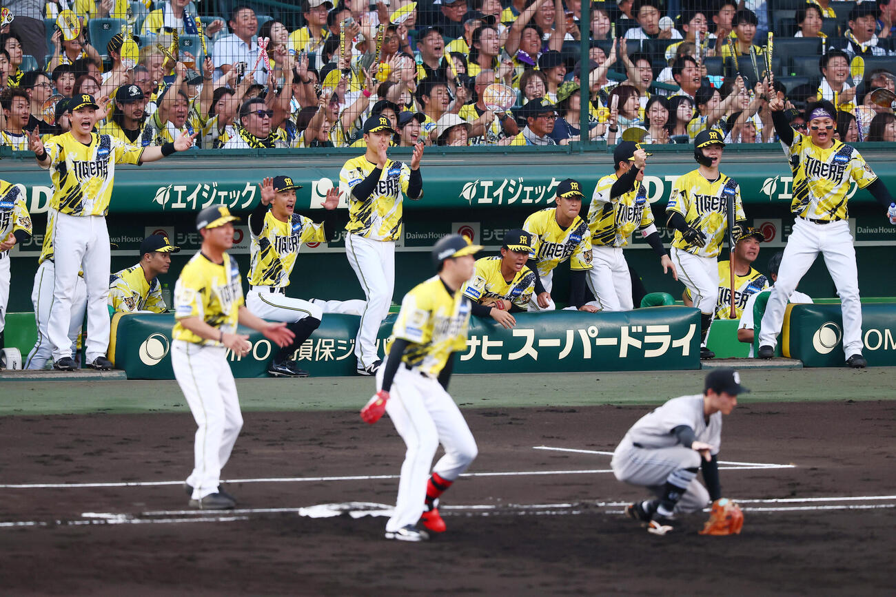 阪神対巨人　2回裏阪神1死一、二塁、才木浩人がバントを決め相手悪送球による失策で先制し喜ぶベンチのナイン（撮影・加藤哉）