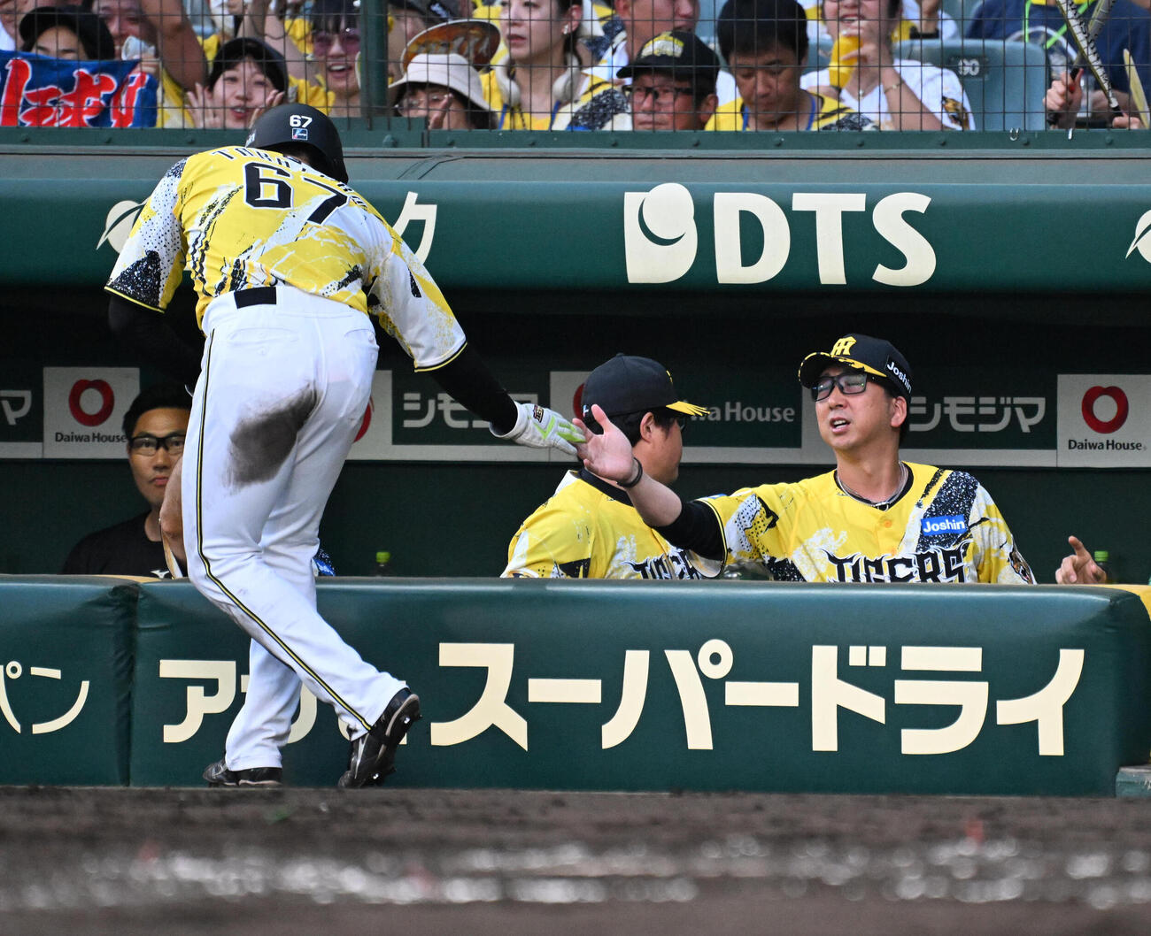阪神対巨人　2回裏阪神1死一、二塁、才木浩人のバントで生還した阪神高寺望夢（左）を迎える阪神藤川球児監督（撮影・石井愛子）