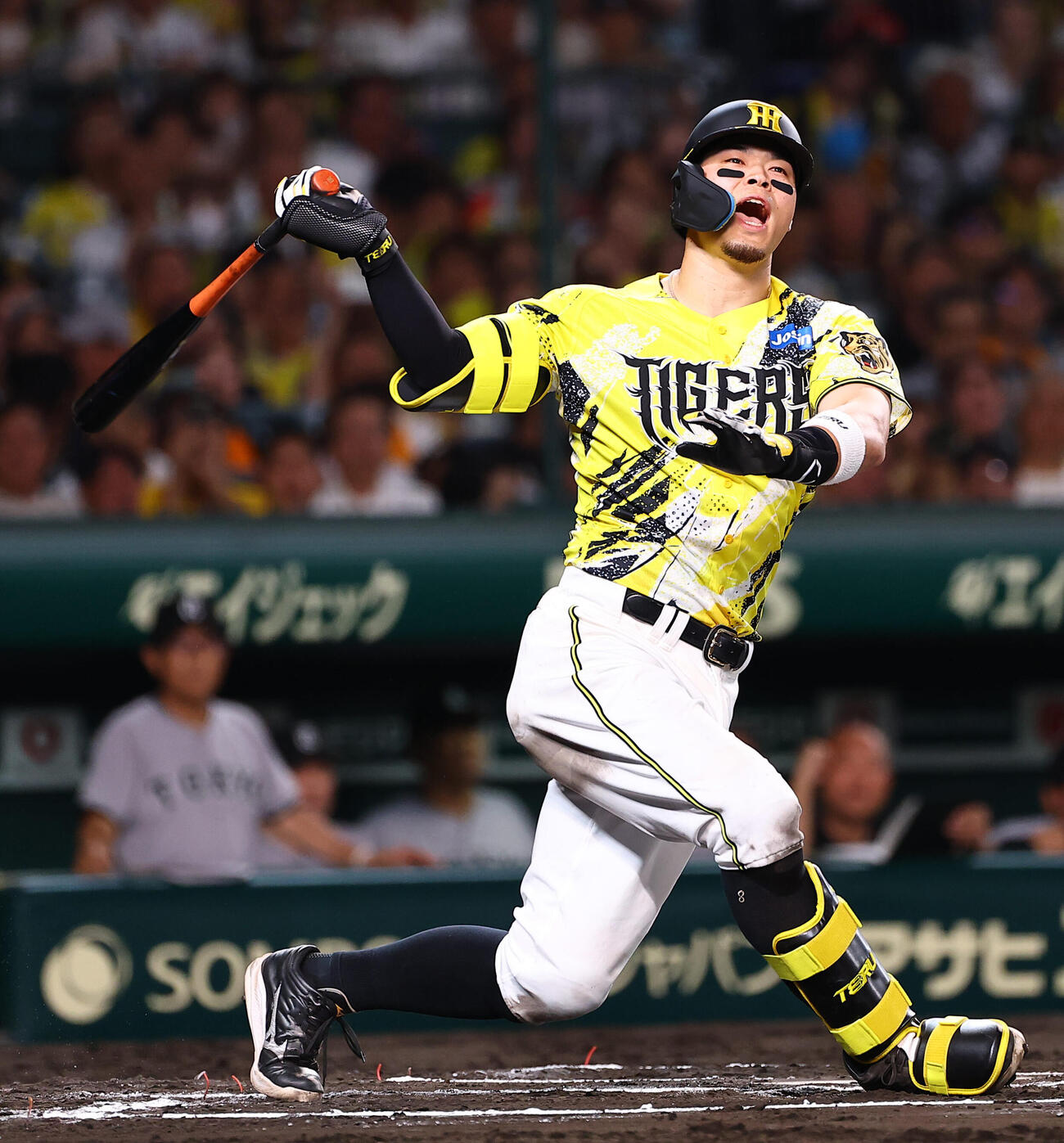 阪神対巨人　6回裏阪神無死、佐藤輝明は三振に倒れる（撮影・上田博志）