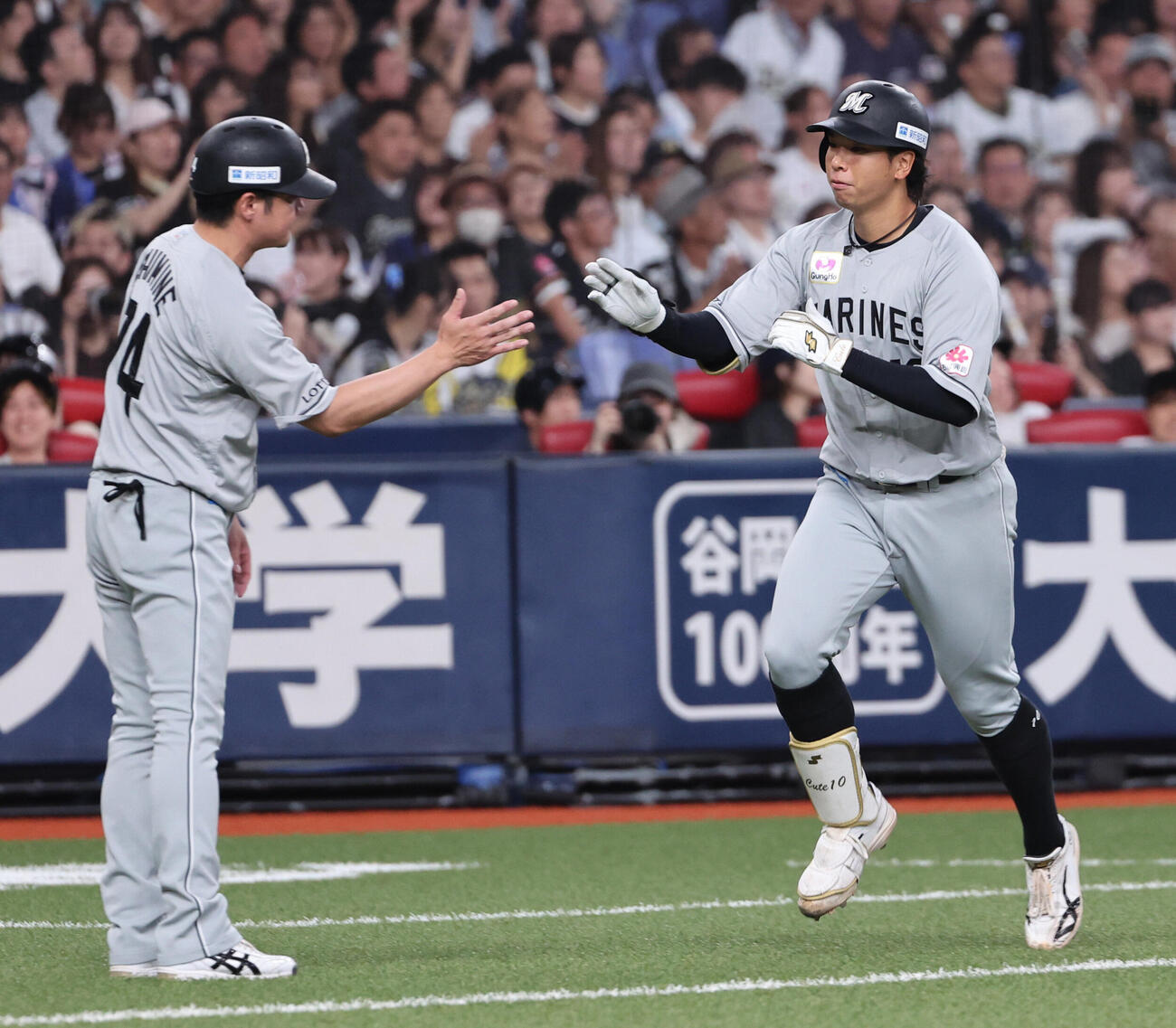 オリックス対ロッテ　2回表ロッテ1死、上田希由翔は本塁打を放ち伊志嶺翔大コーチとタッチをかわし本塁へ向かう（撮影・西尾就之）