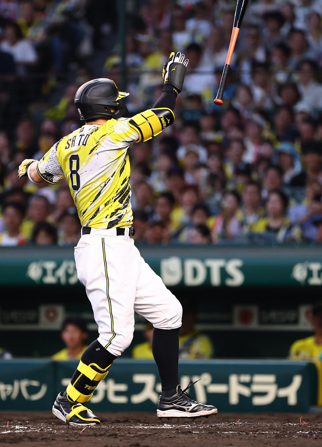 阪神対巨人　3回裏阪神1死一塁、佐藤輝明は死球を受ける（撮影・上田博志）